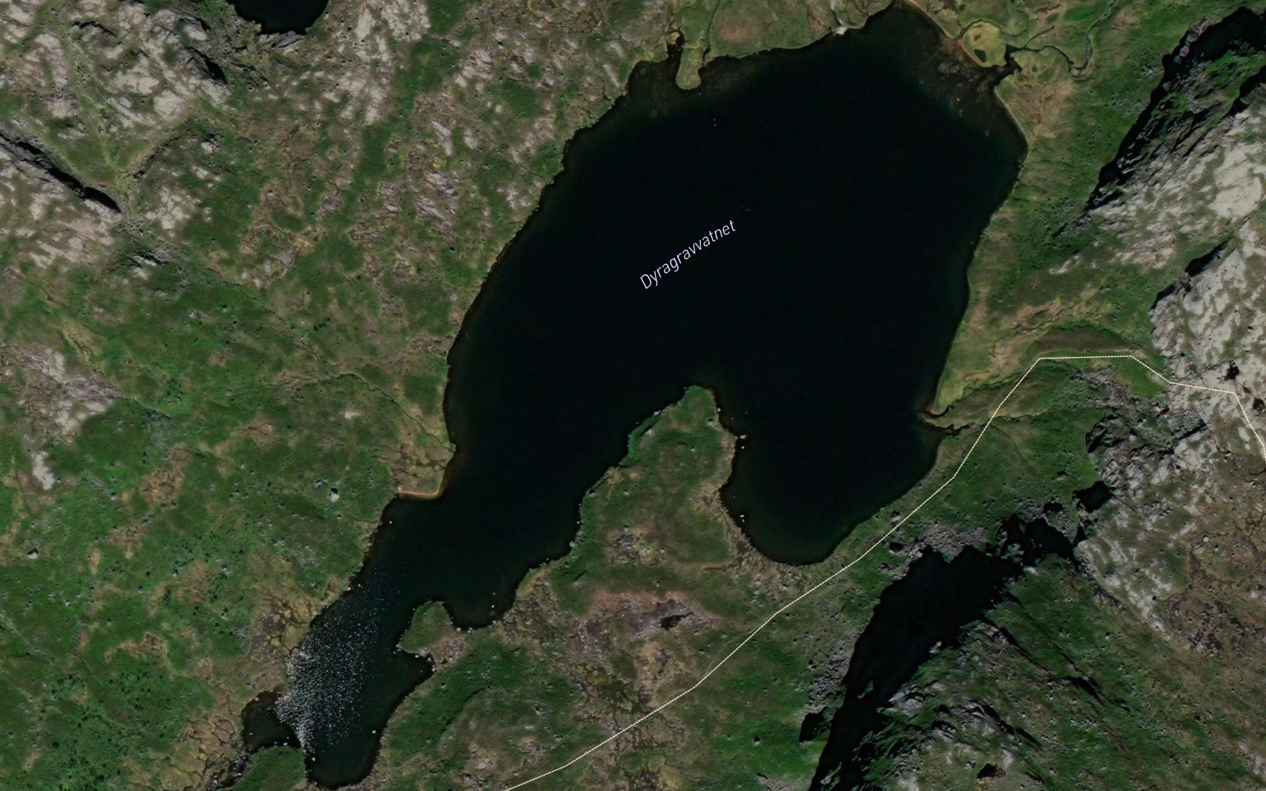 Dyragravvatnet
