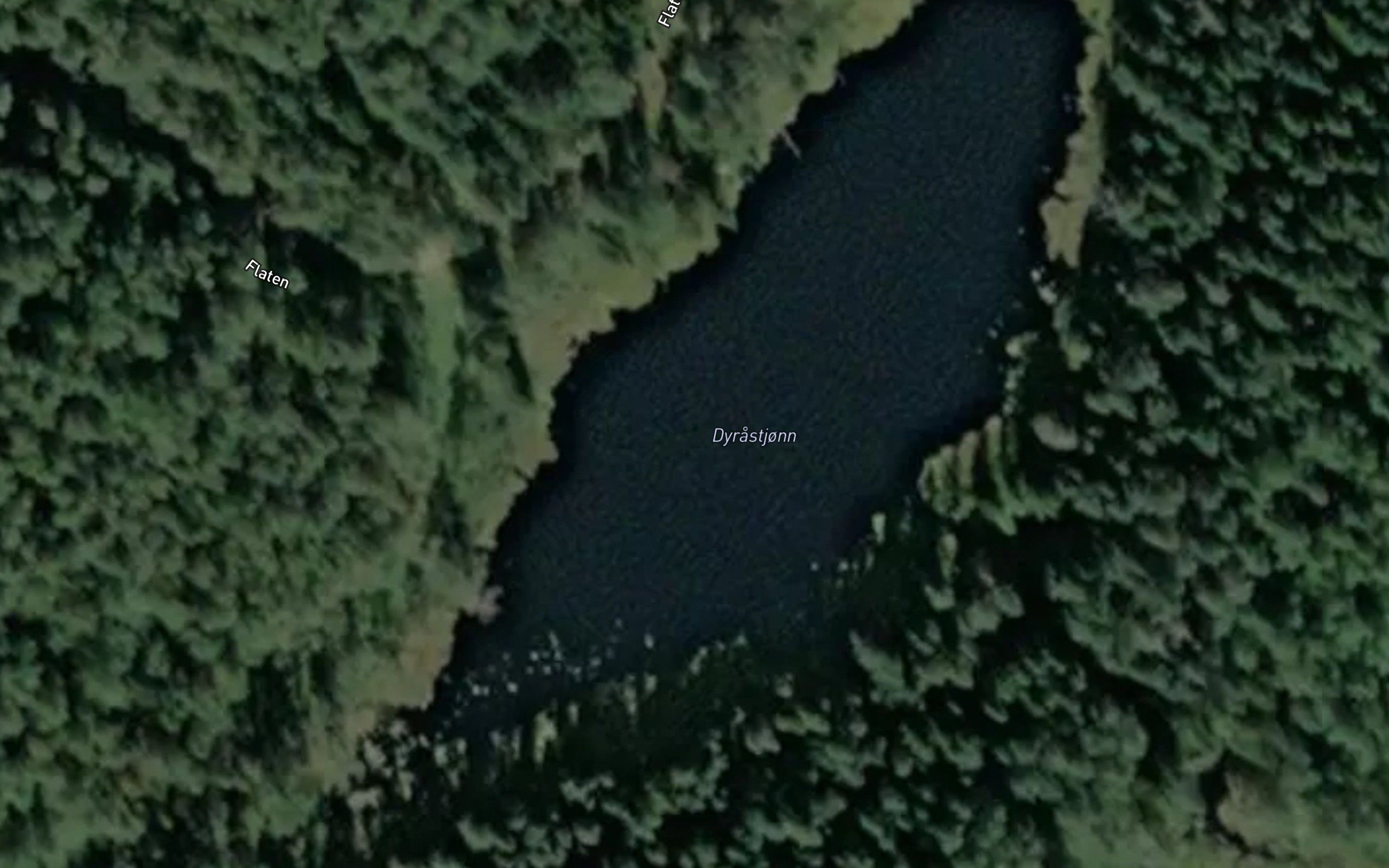 Dyrastjonn