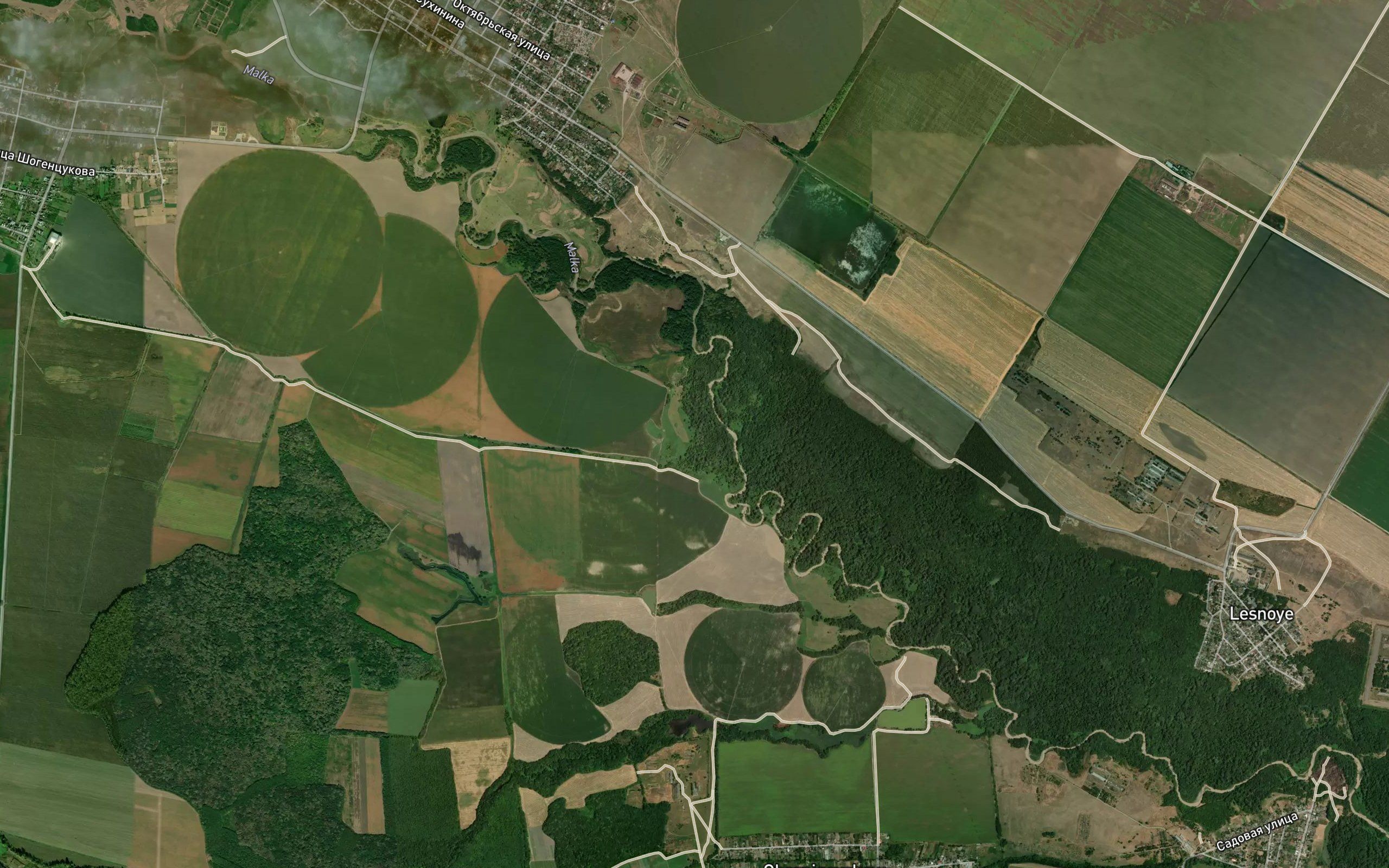 Kurkuzhin