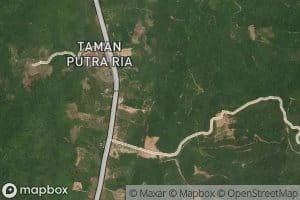 Lam Para