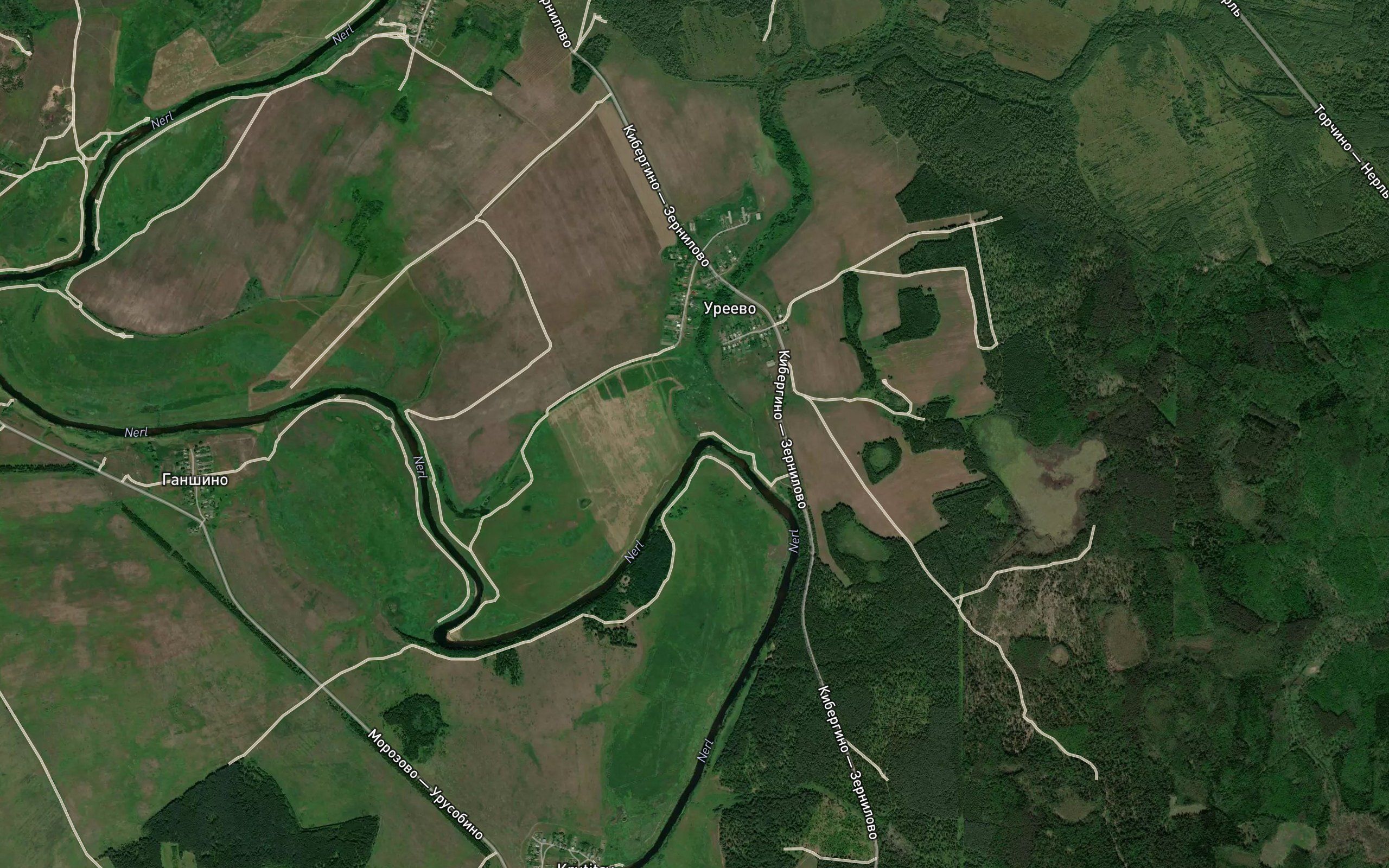 Kornatka