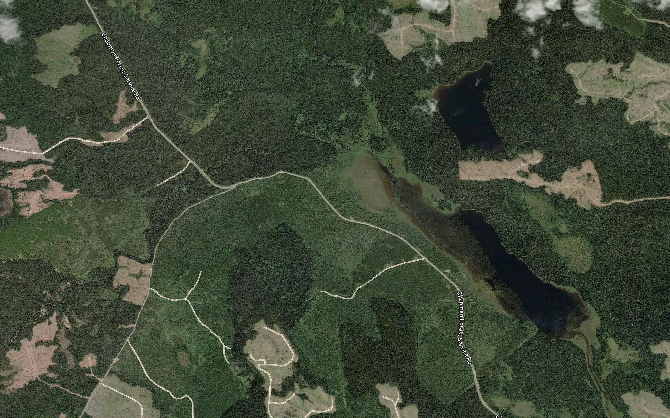 Betty Creek