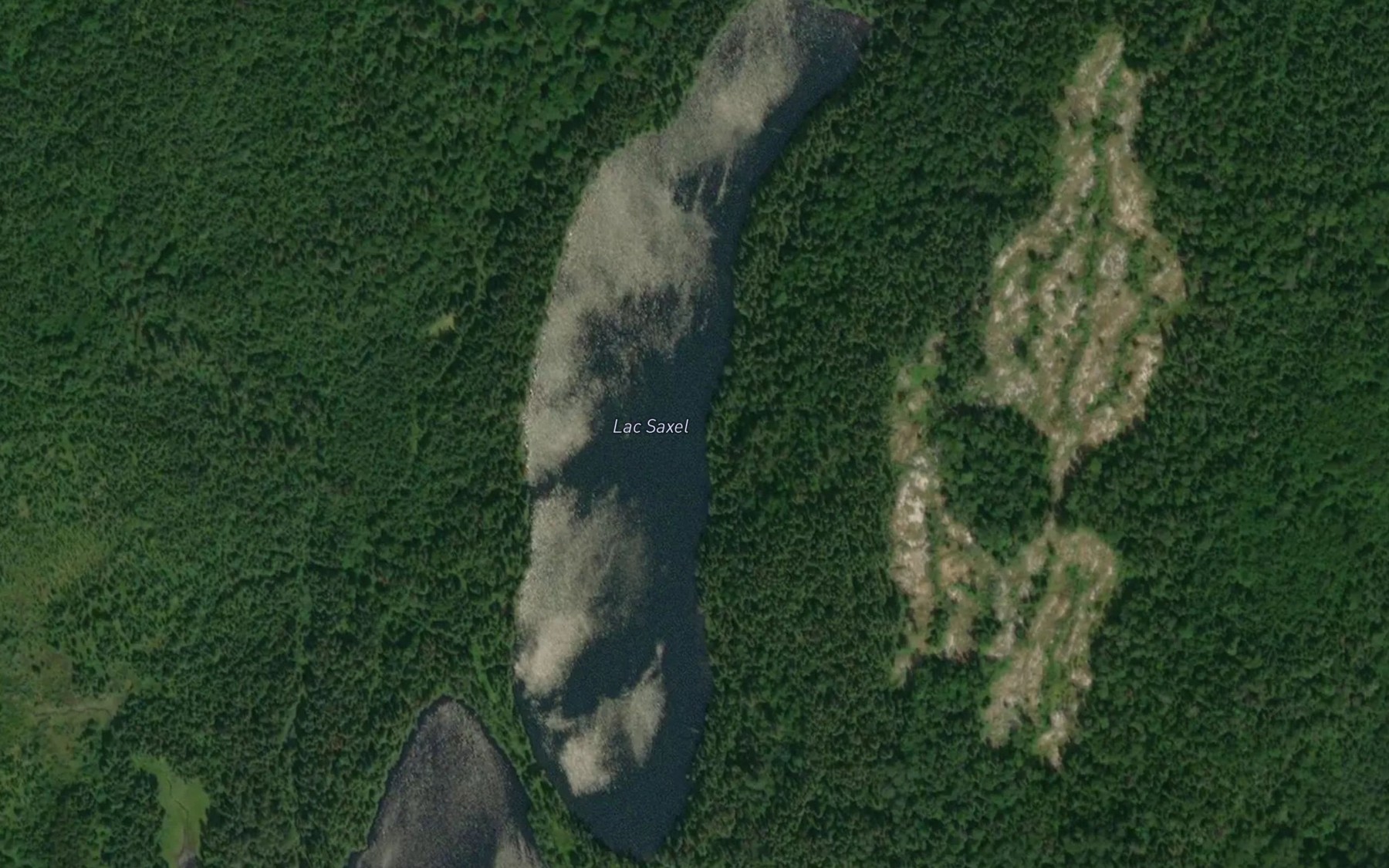 Satellite map of the Lac Saxel