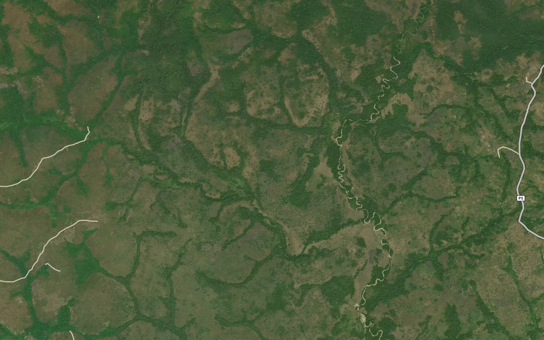 Satellite map of the Wom