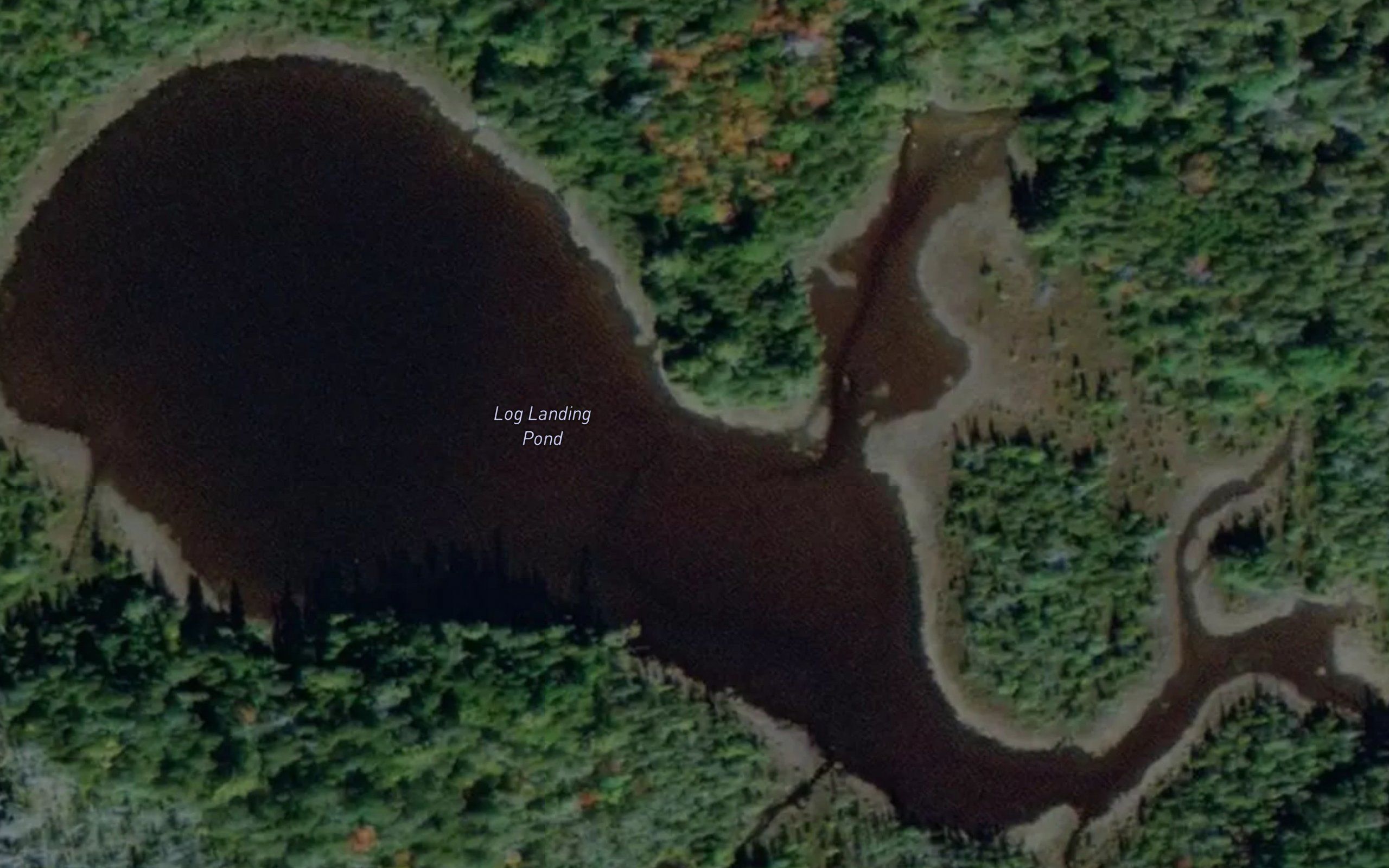 Log Landing Pond