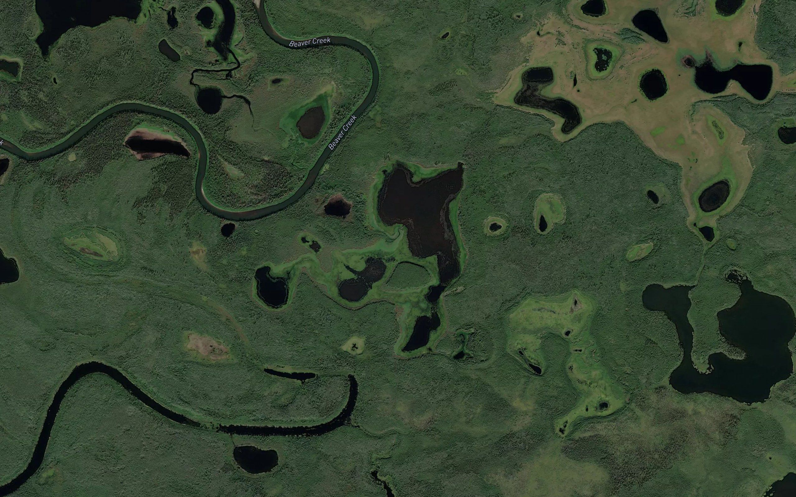 Olaf Lake