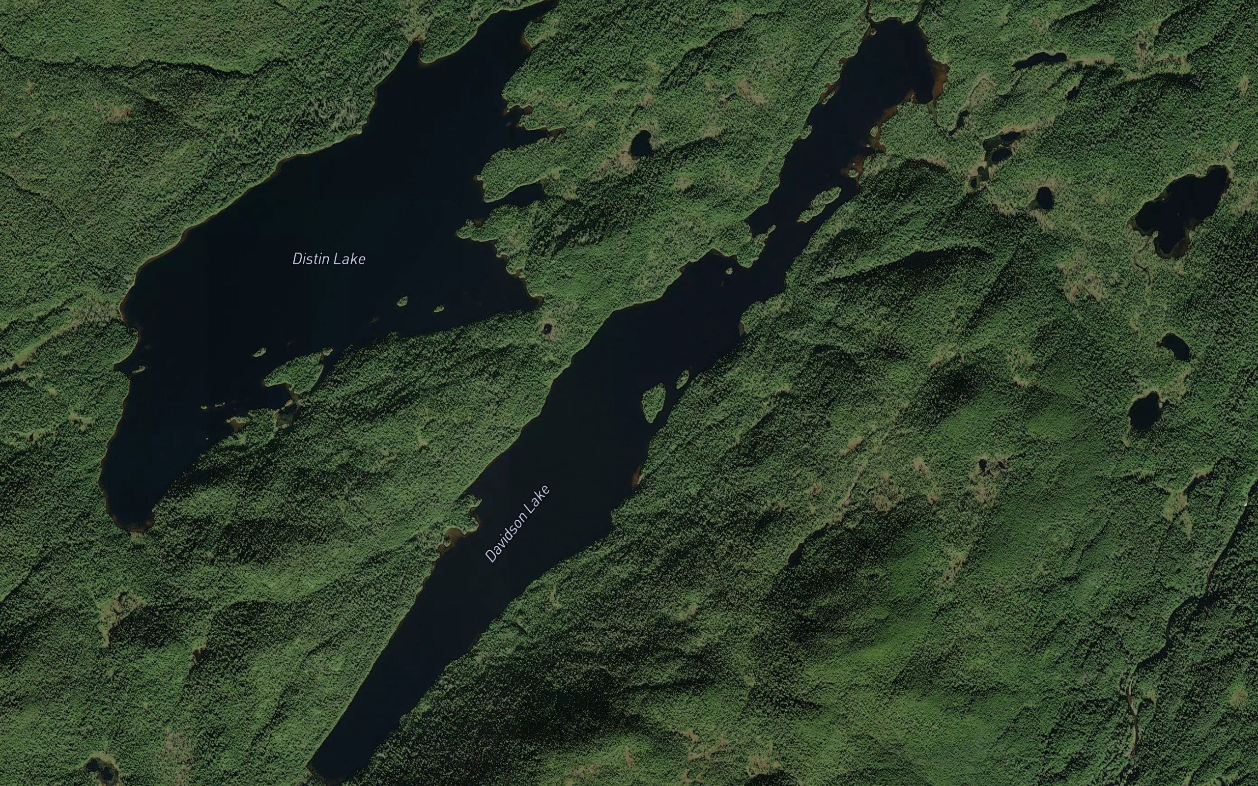 Davidson Lake