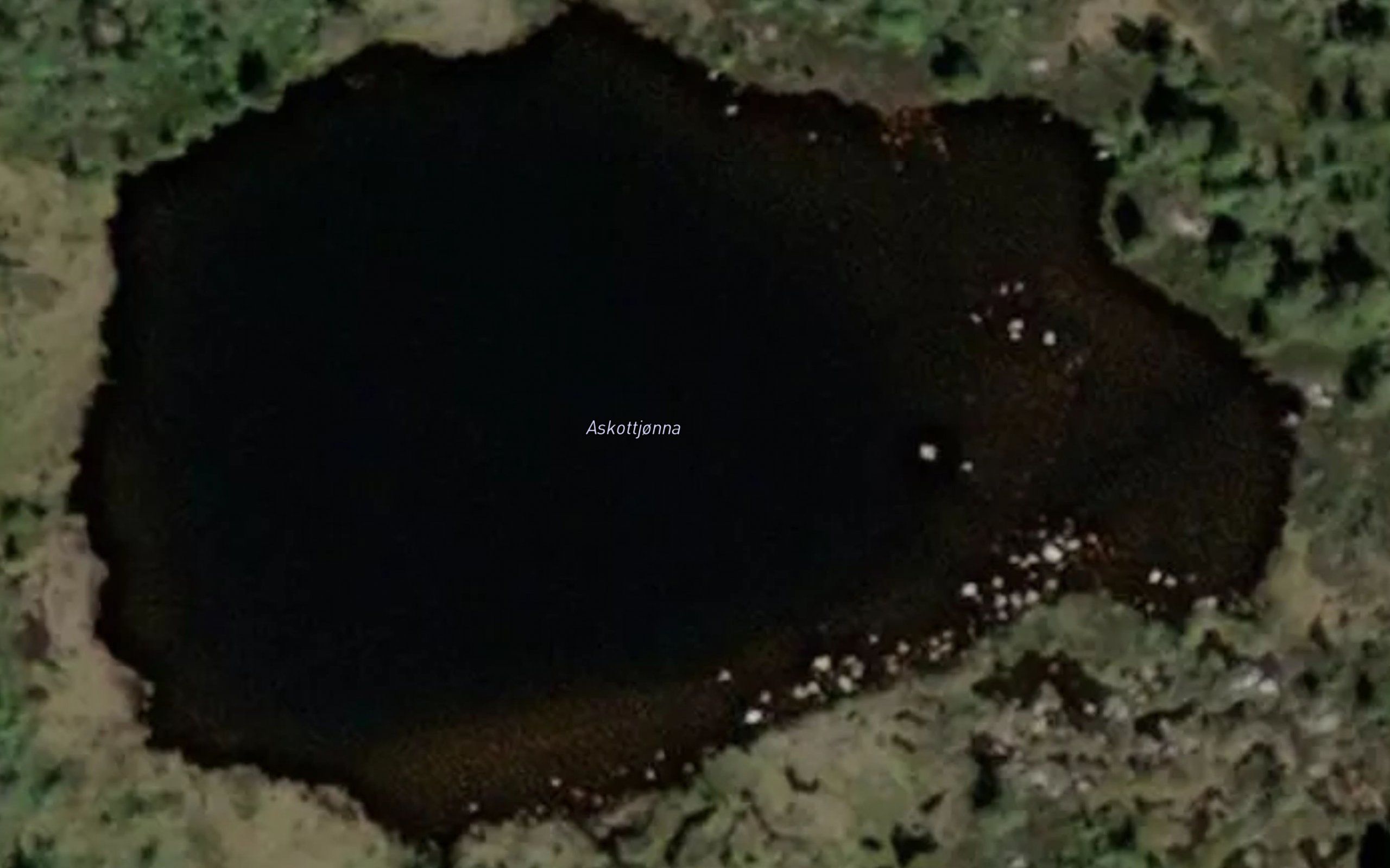Askottjonna