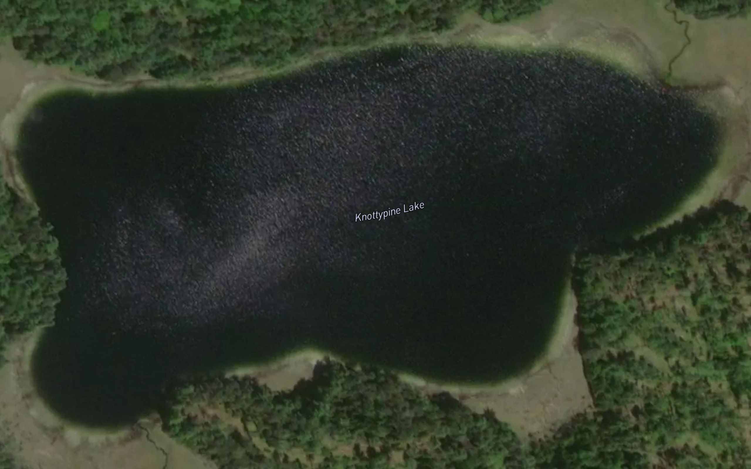 Knottypine Lake