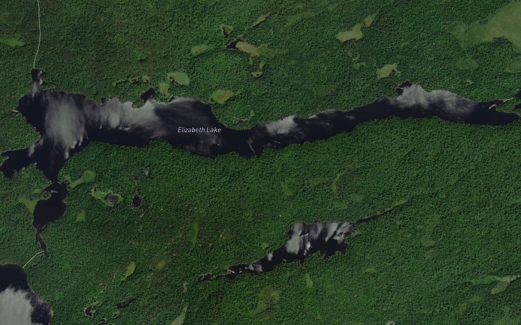 Satellite map of the Elizabeth Lake