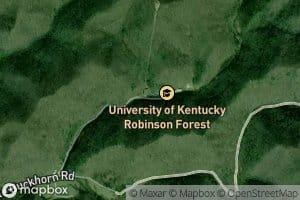 Boardinghouse Branch