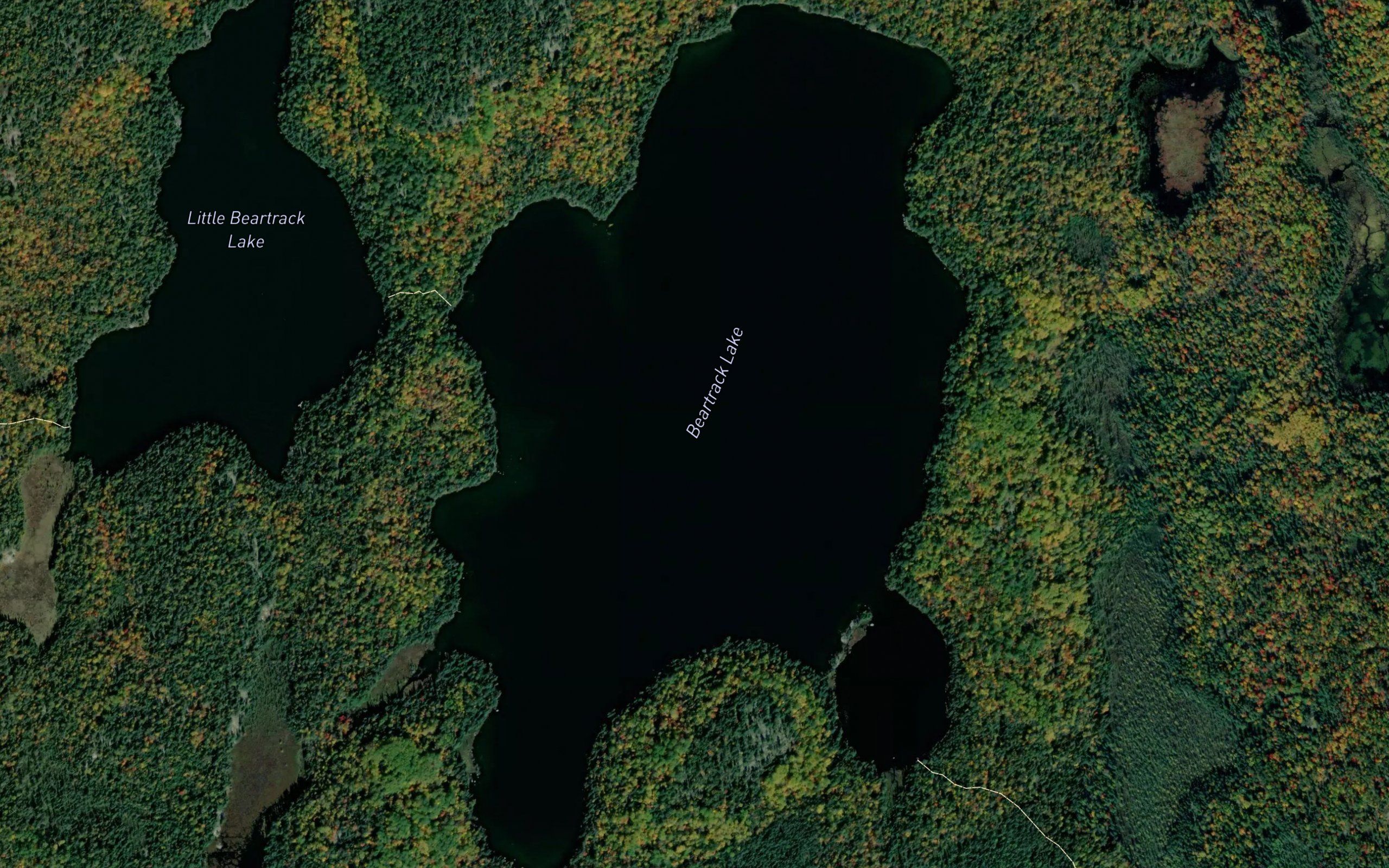 Beartrack Lake