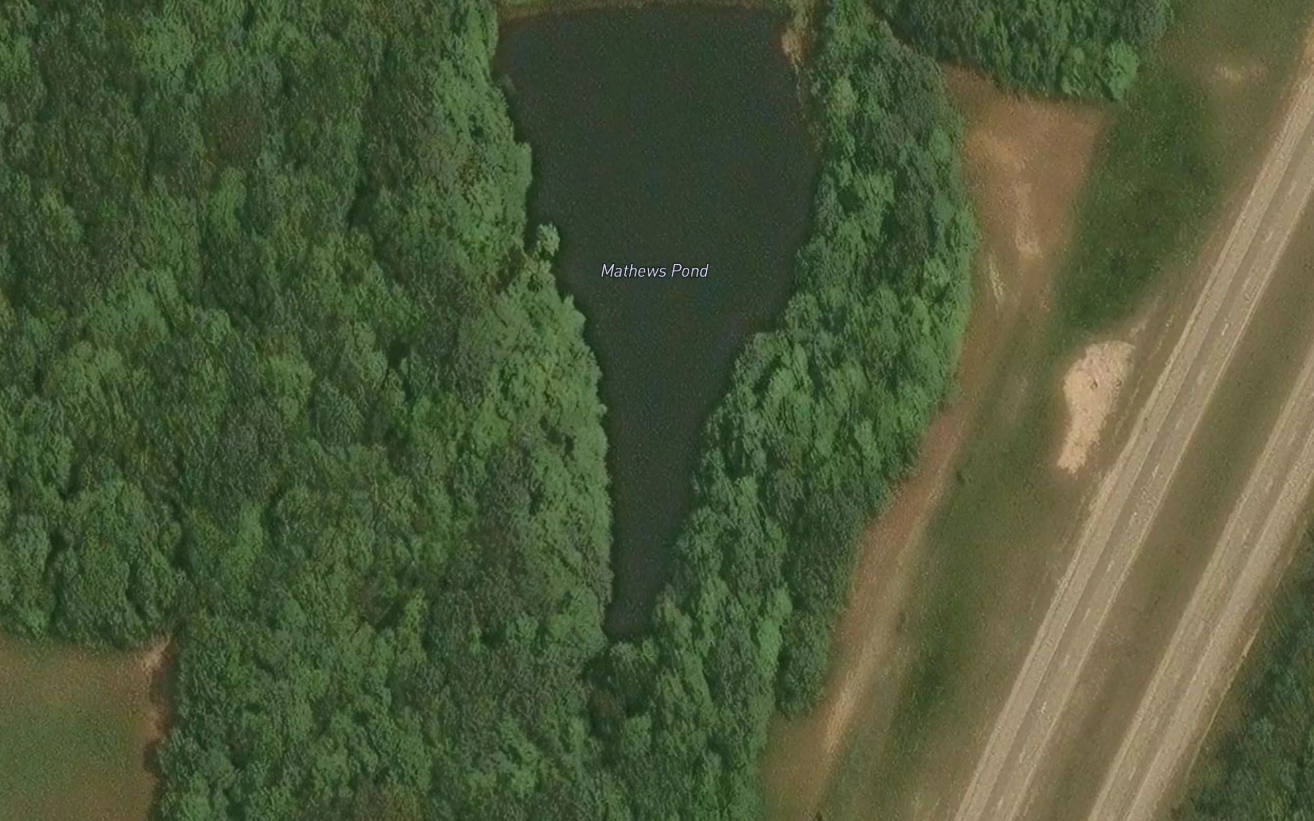 Mathews Pond