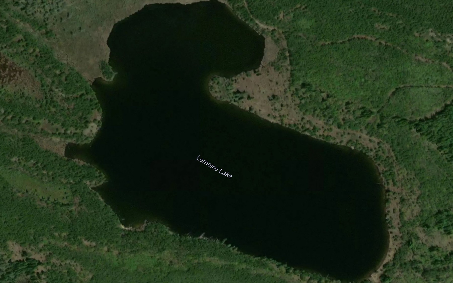 Satellite map of the Lemoine Lake