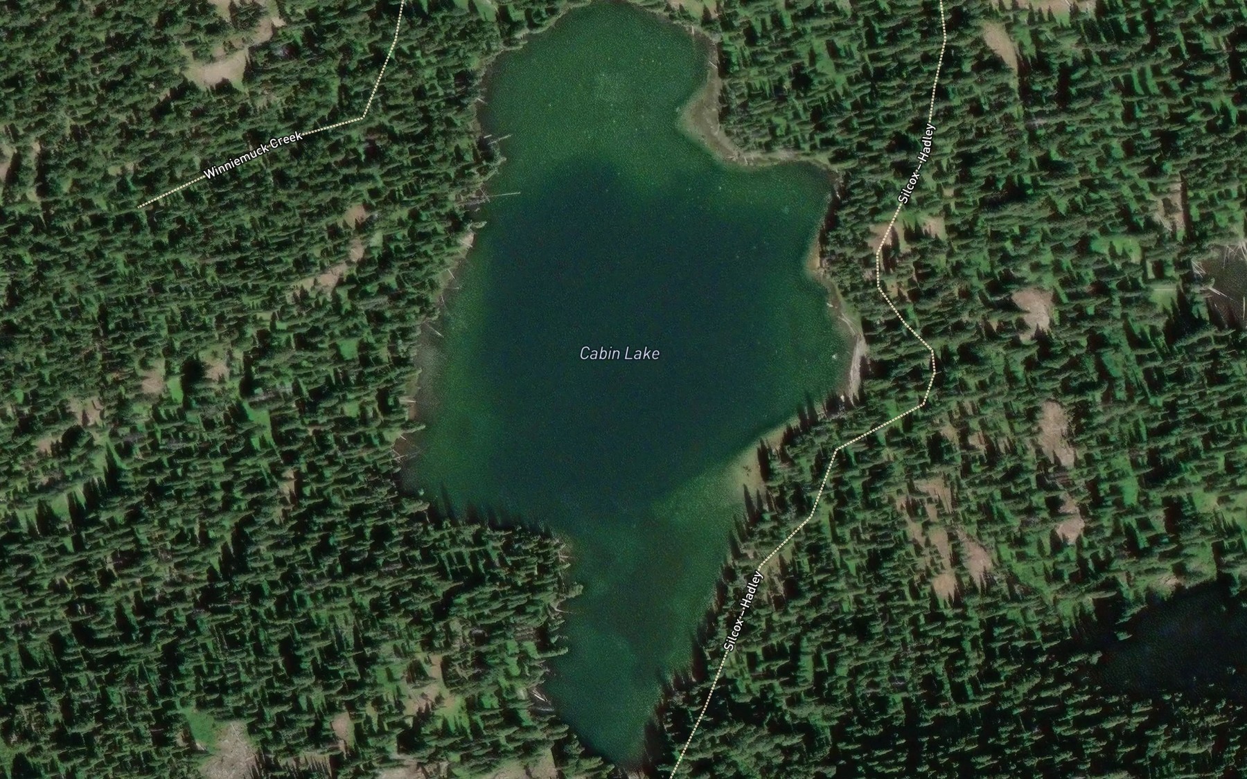 Satellite map of the Cabin Lake