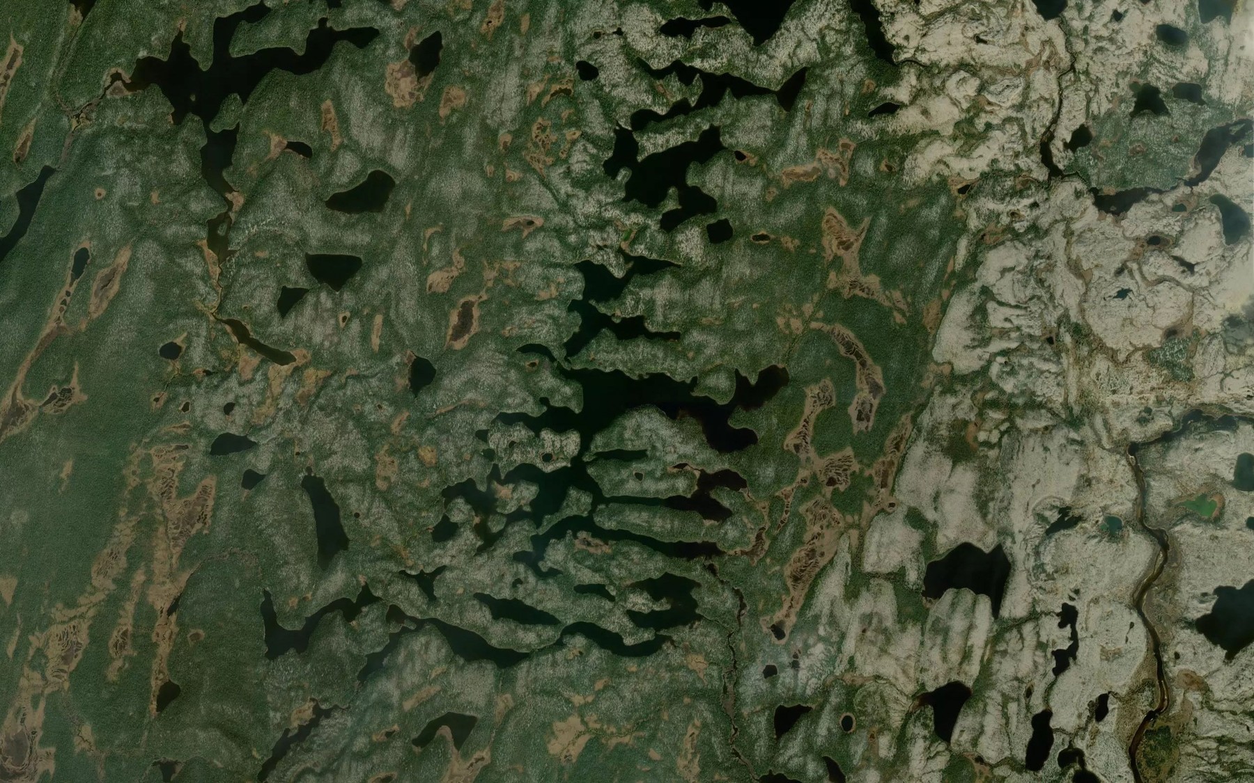 Satellite map of the Lac de la Petite Italie