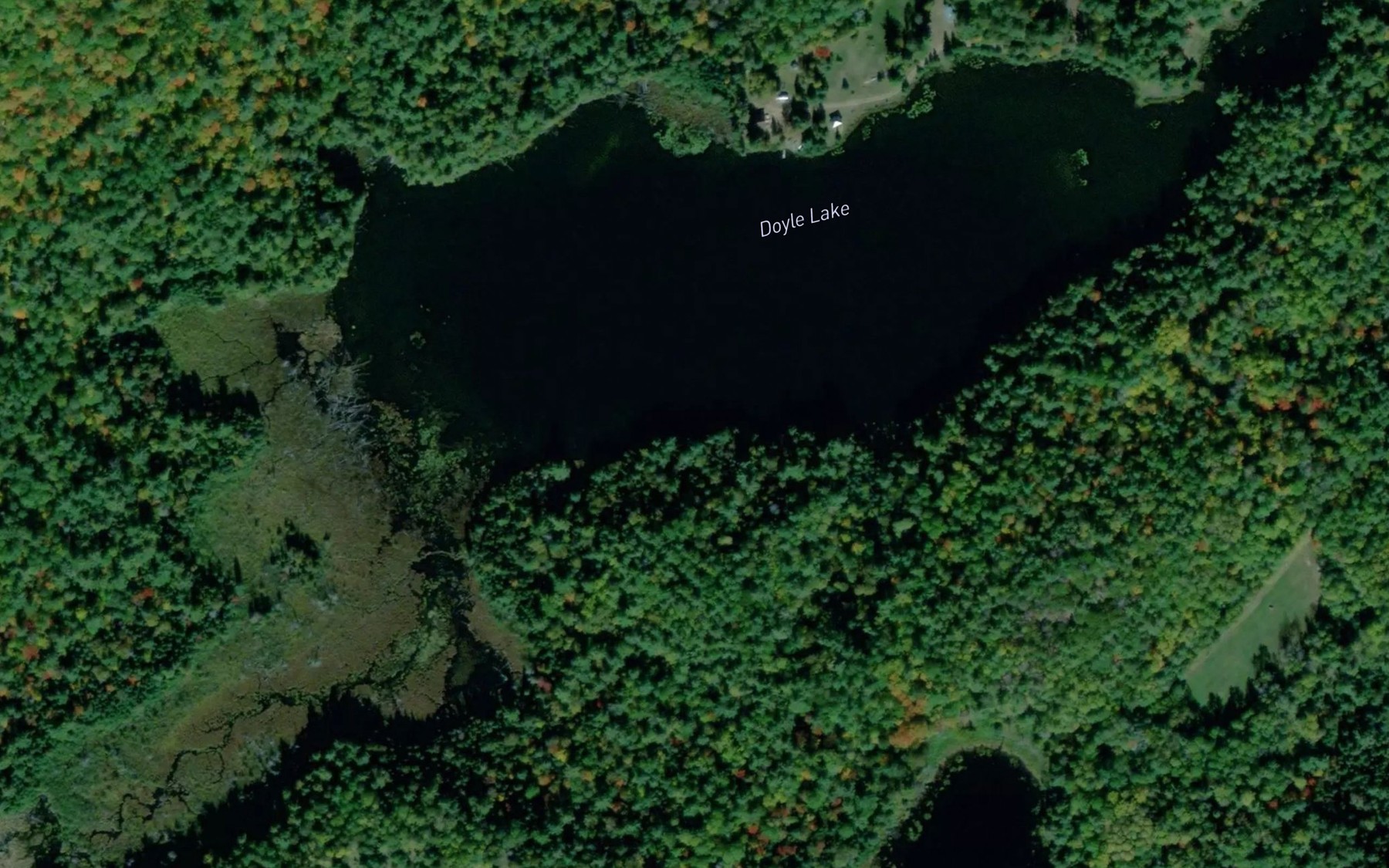 Satellite map of the Doyle Lake