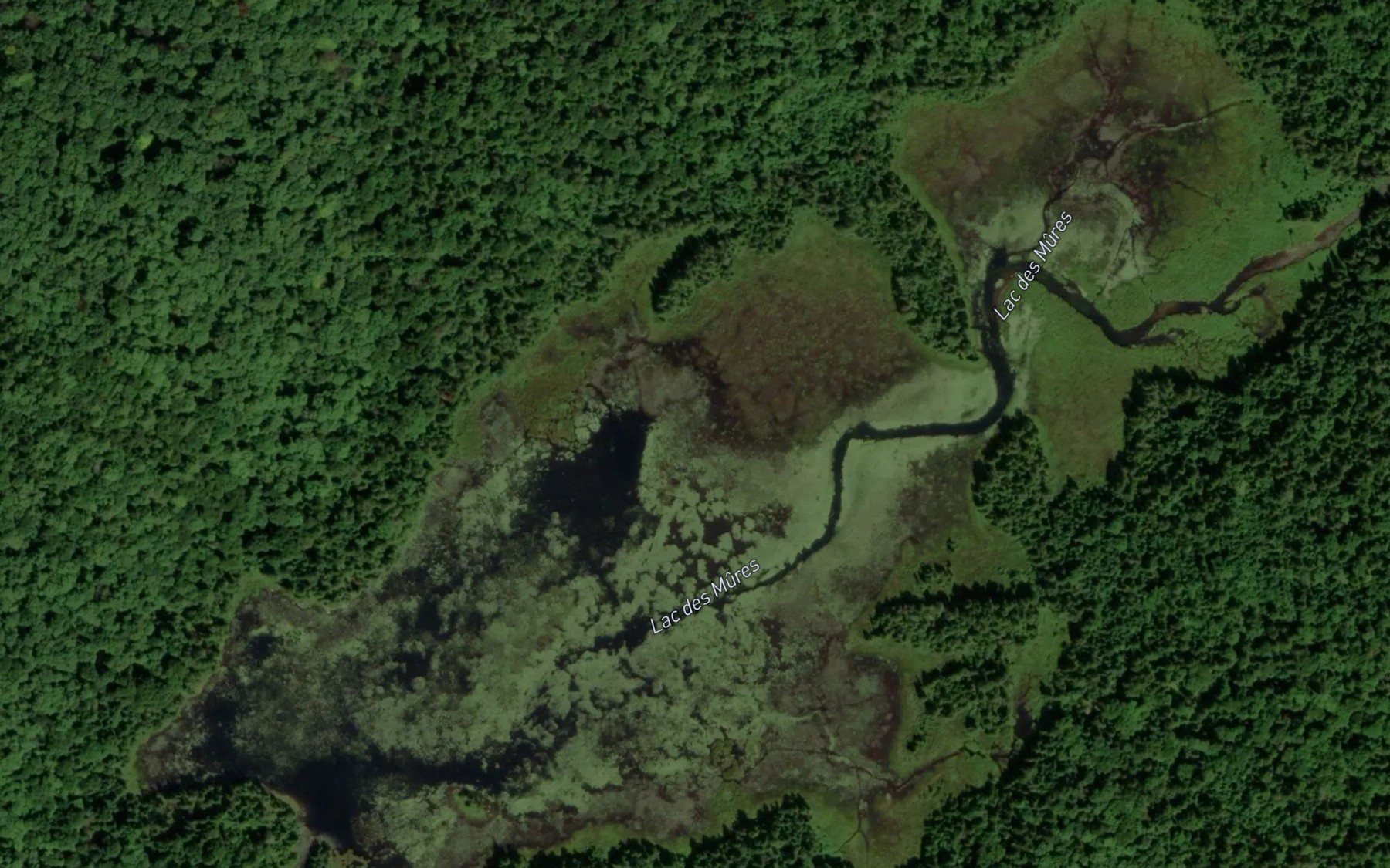 Satellite map of the Lac des Mures