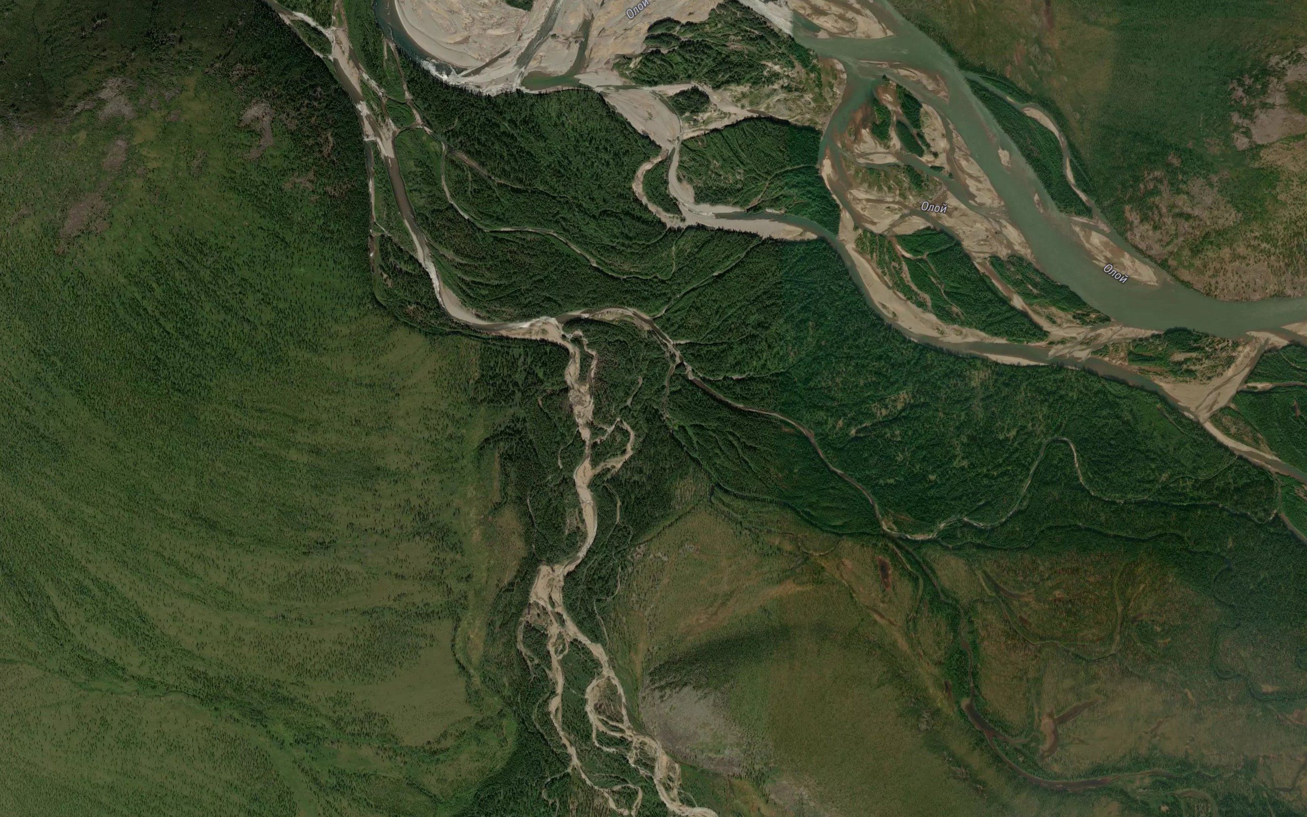 Tauchokh