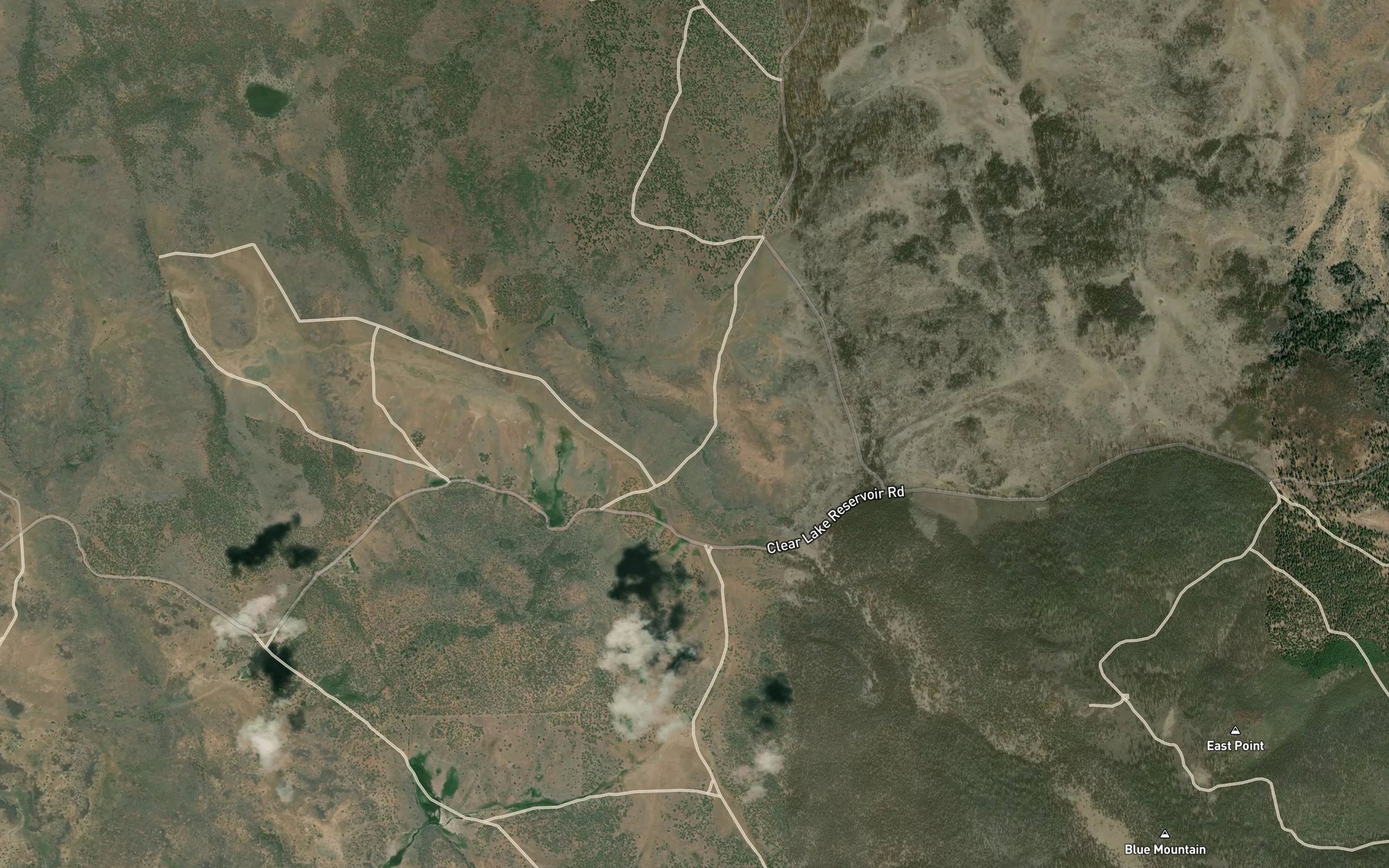 Satellite map of the Bird Spring