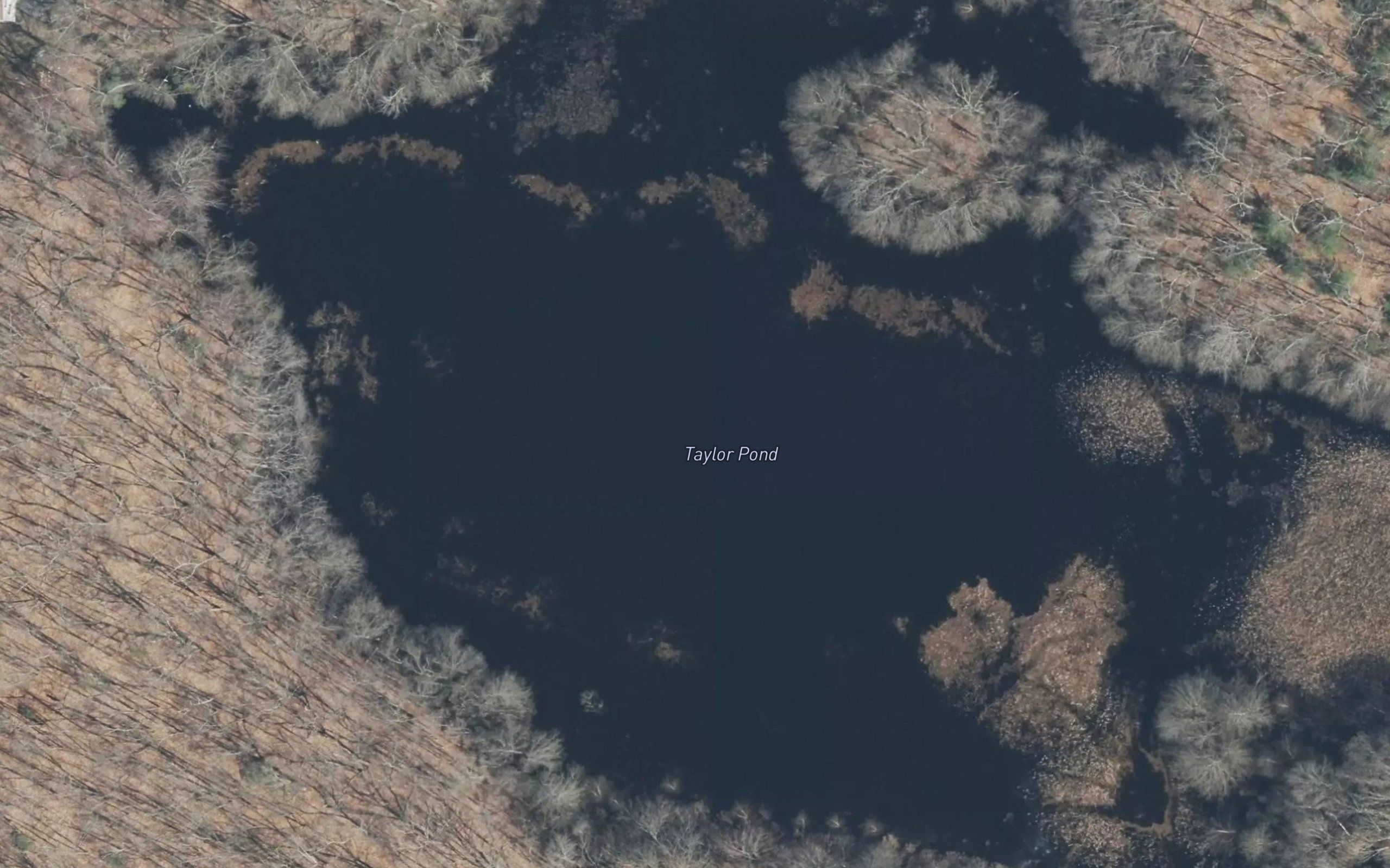 Taylor Pond