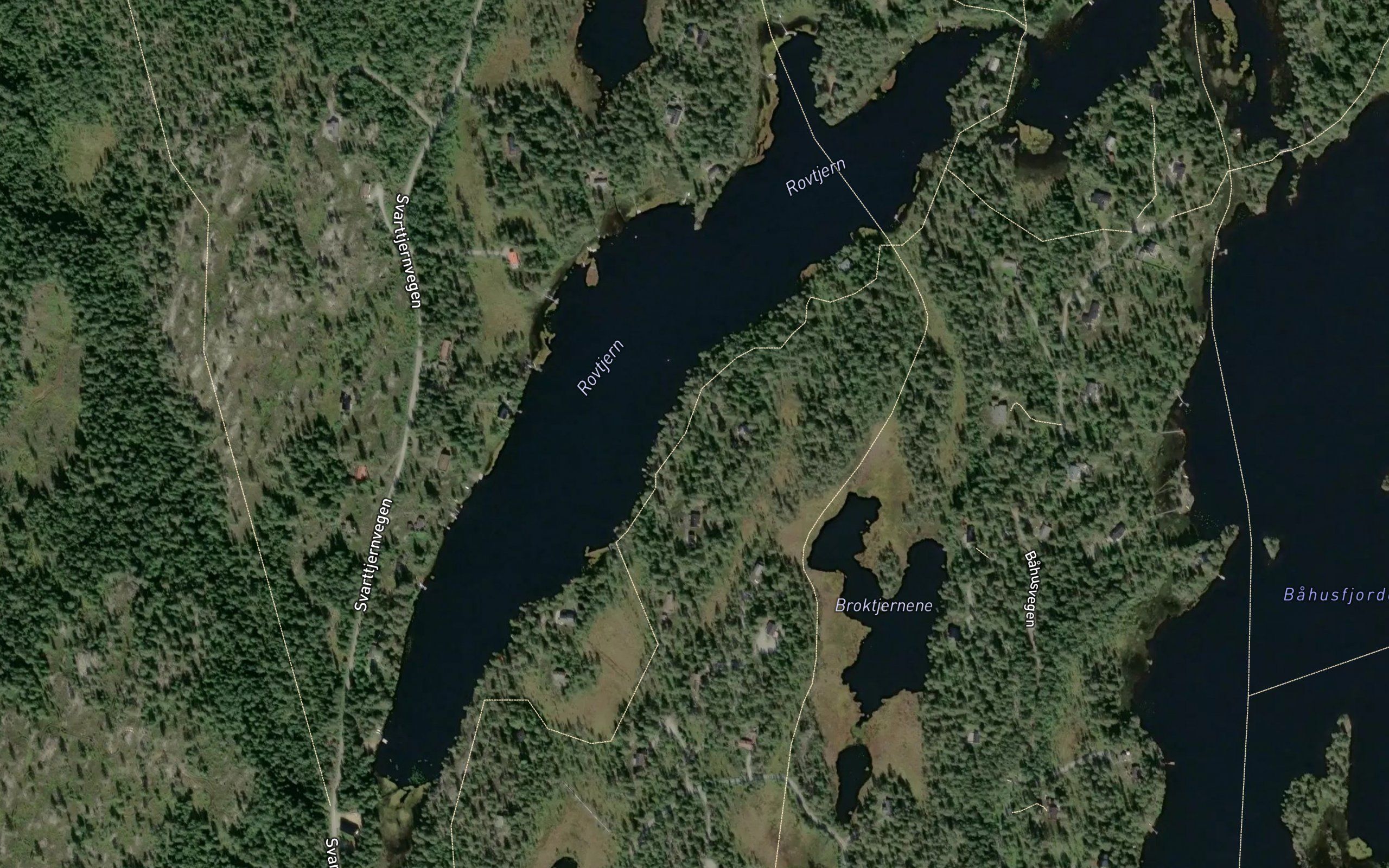 Rovtjern