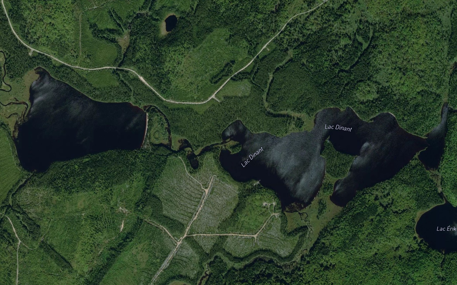 Satellite map of the Lac Dinant