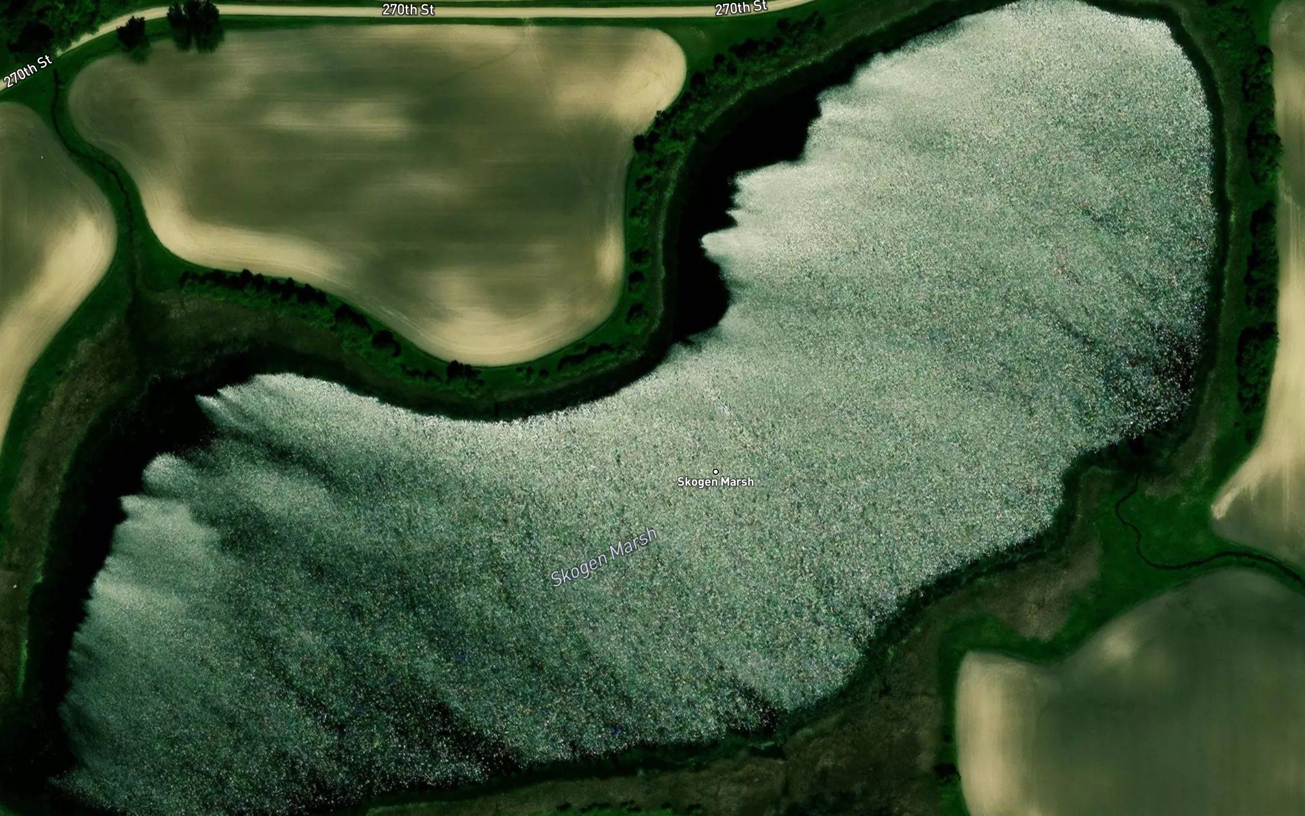 Skogen Marsh