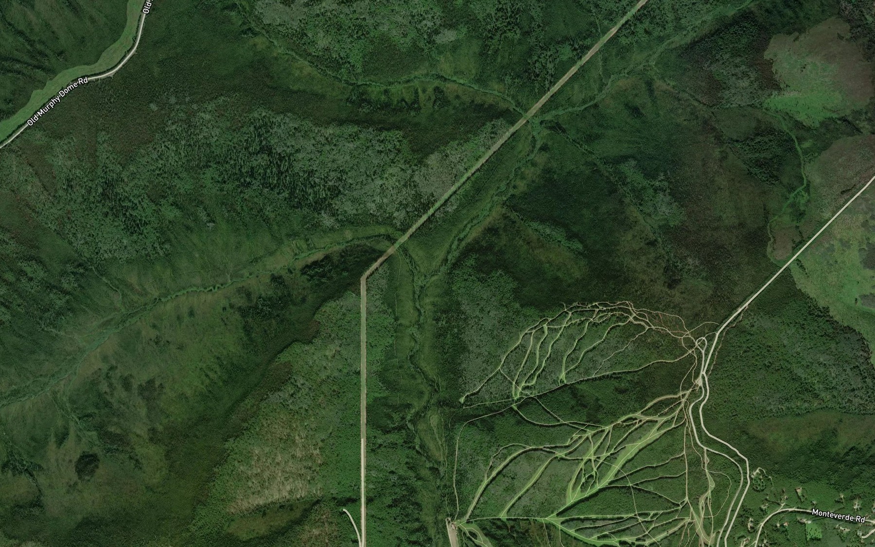Satellite map of the West Fork Moose Creek