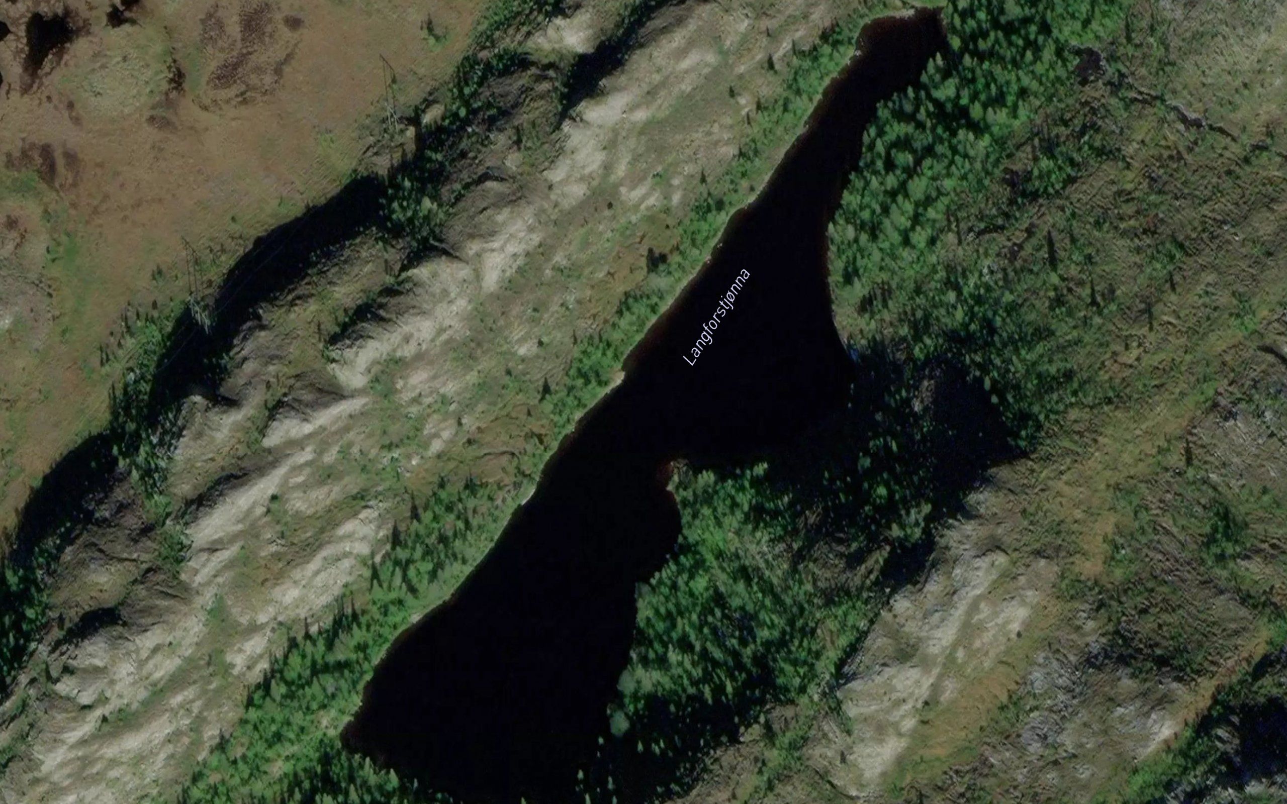 Langforstjorna