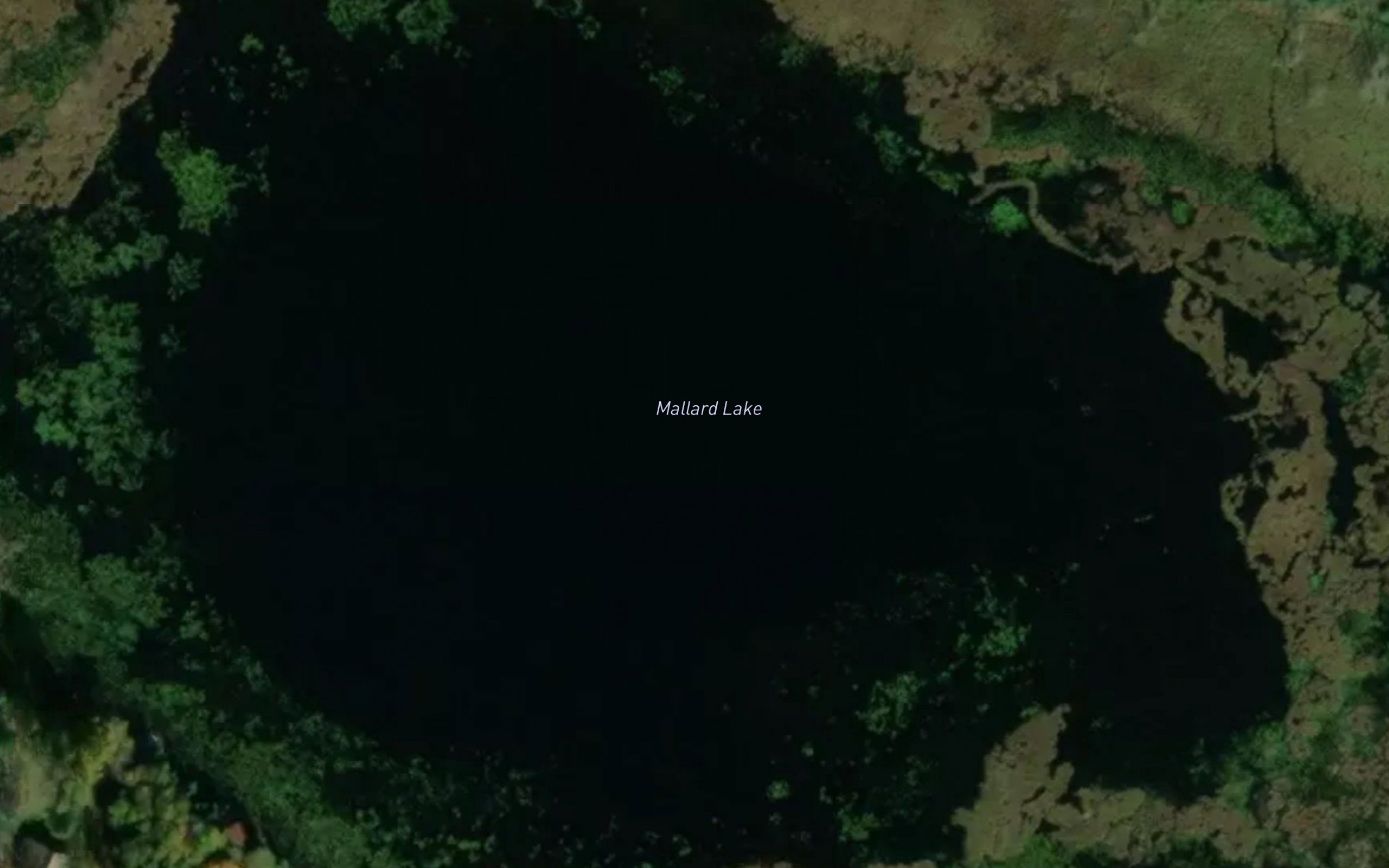 Mallard Lake