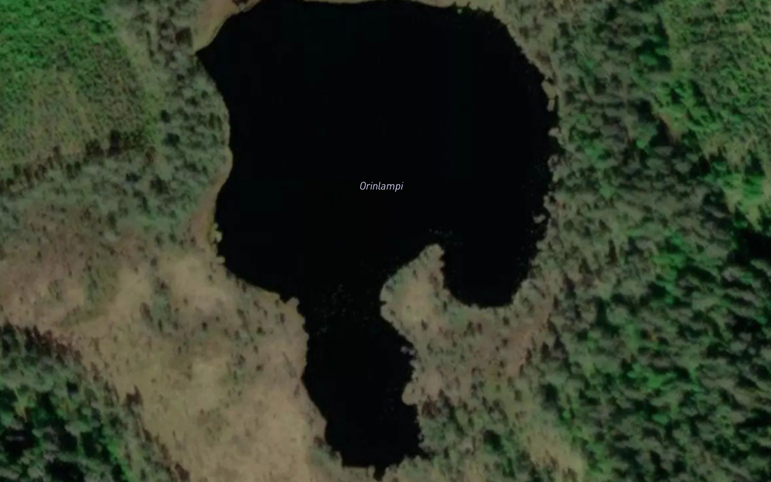 Orinlampi