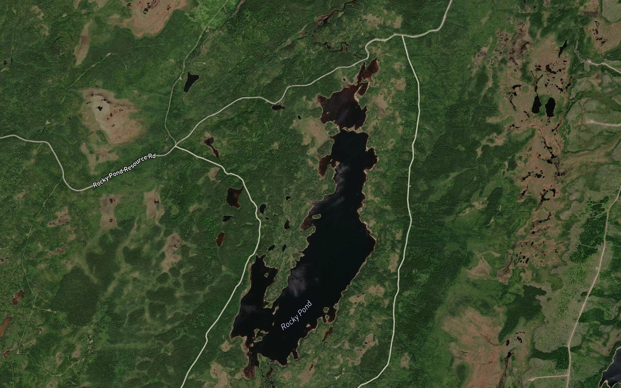 Rocky Pond
