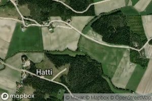 Maatikinviepa