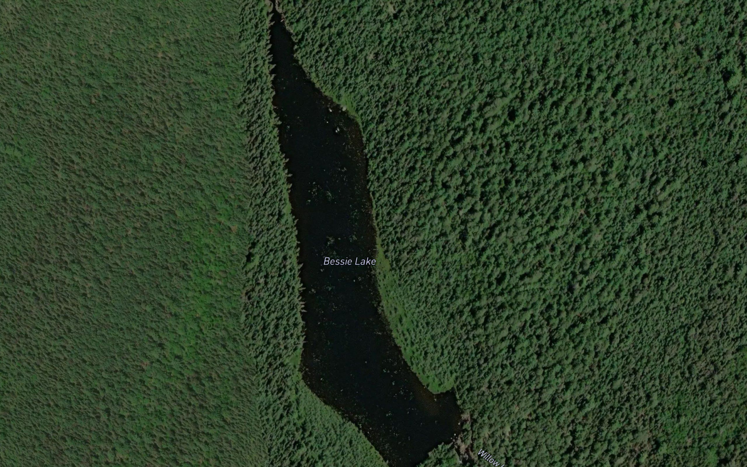 Bessie Lake
