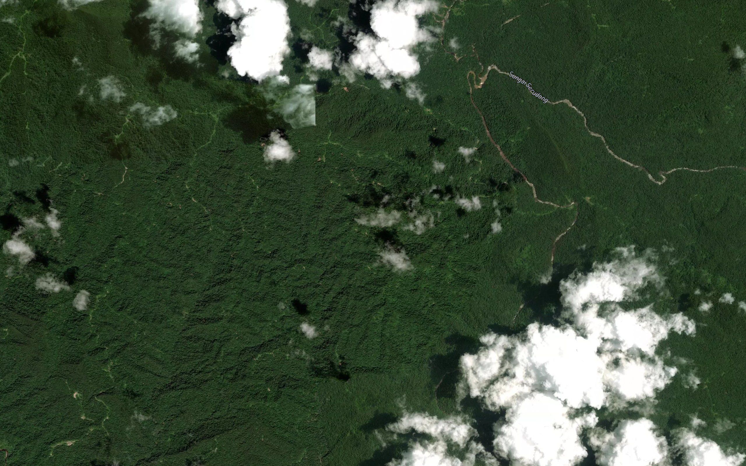 Sungai Sesui