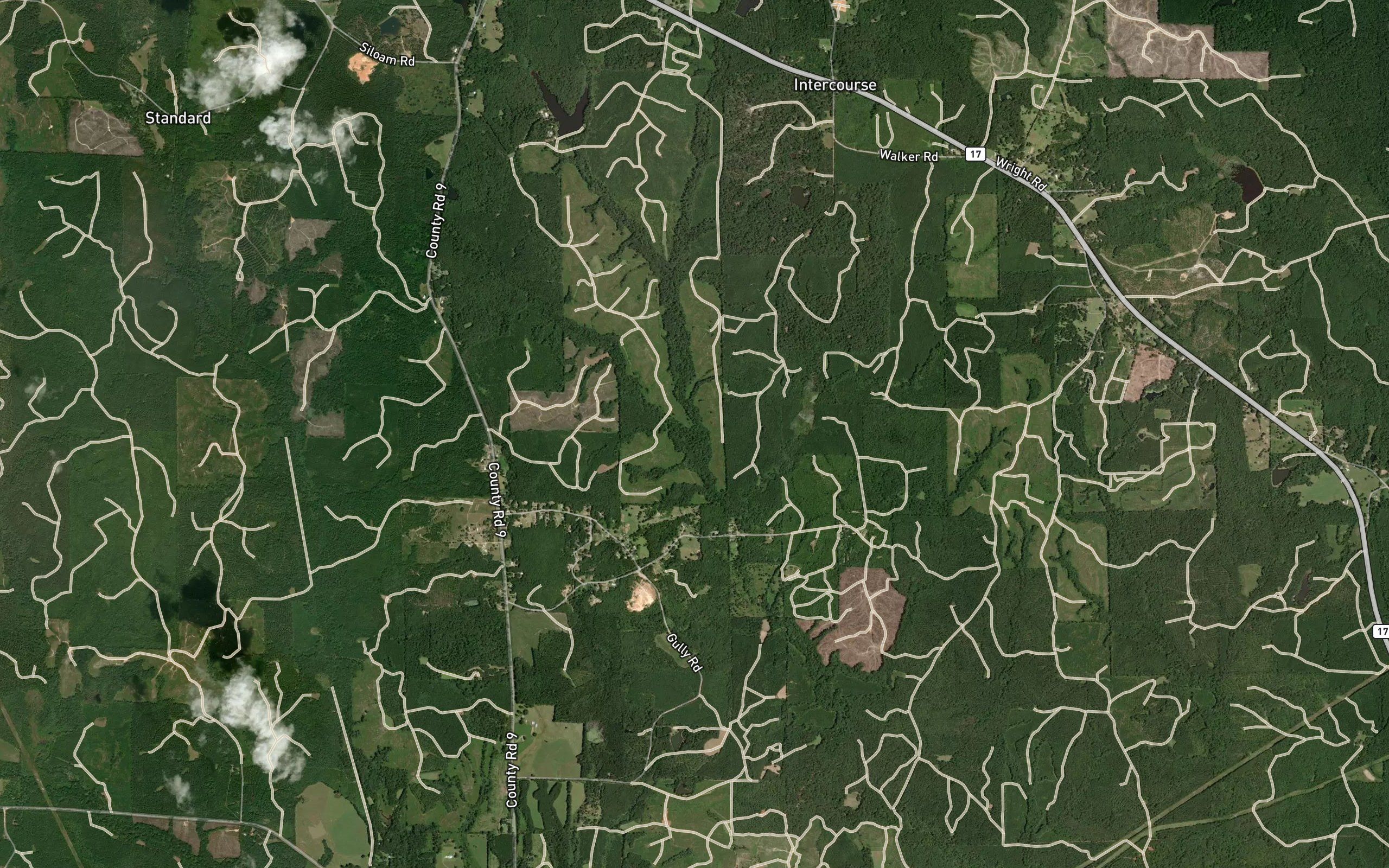 Wiley Branch