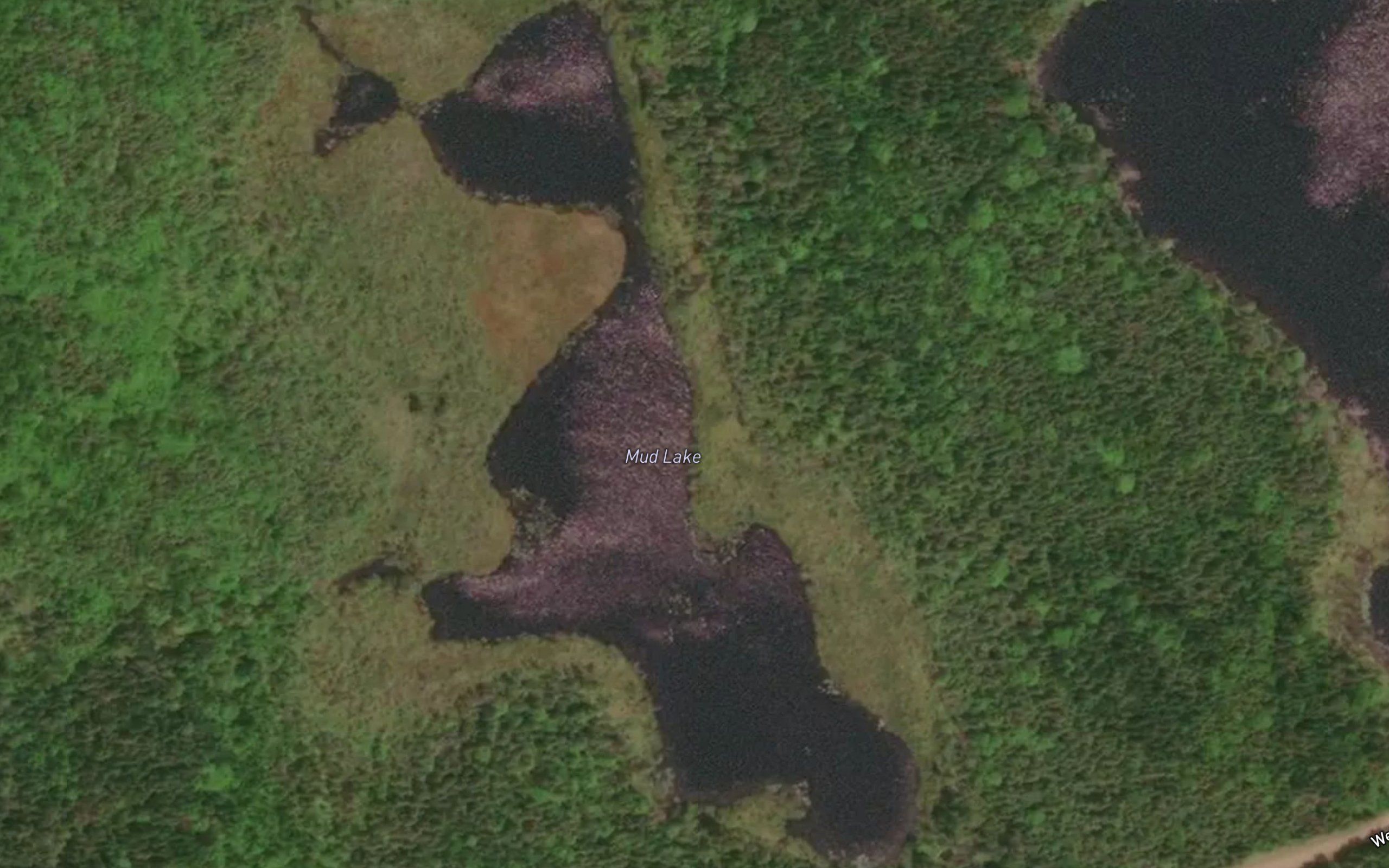 Mud Lake