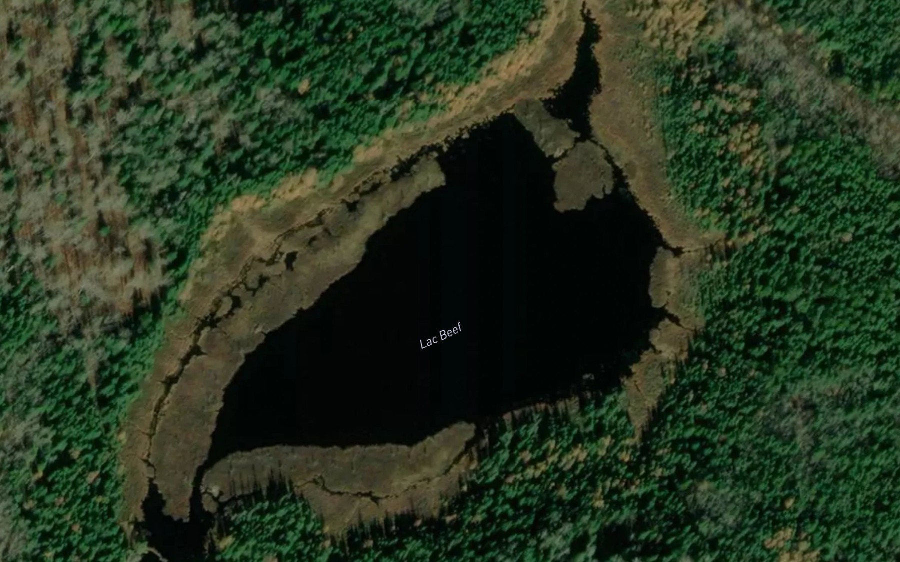 Satellite map of the Lac Beef