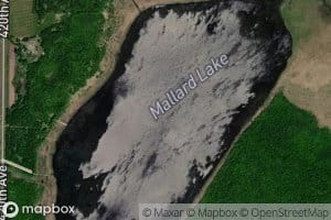 Mallard Lake