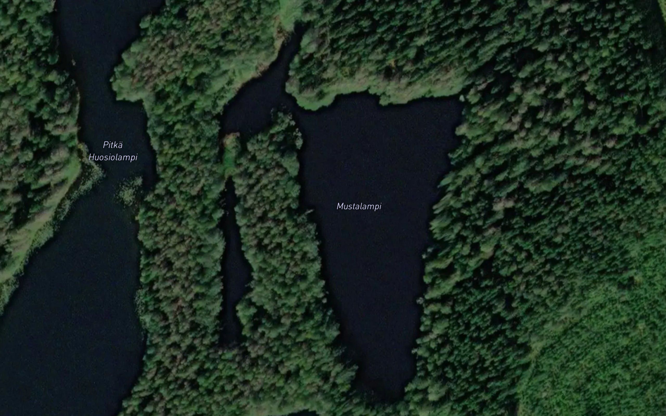 Mustalampi