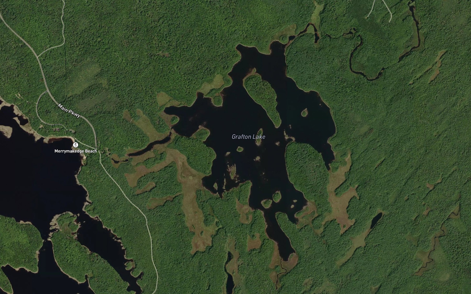 Satellite map of the Grafton Lake