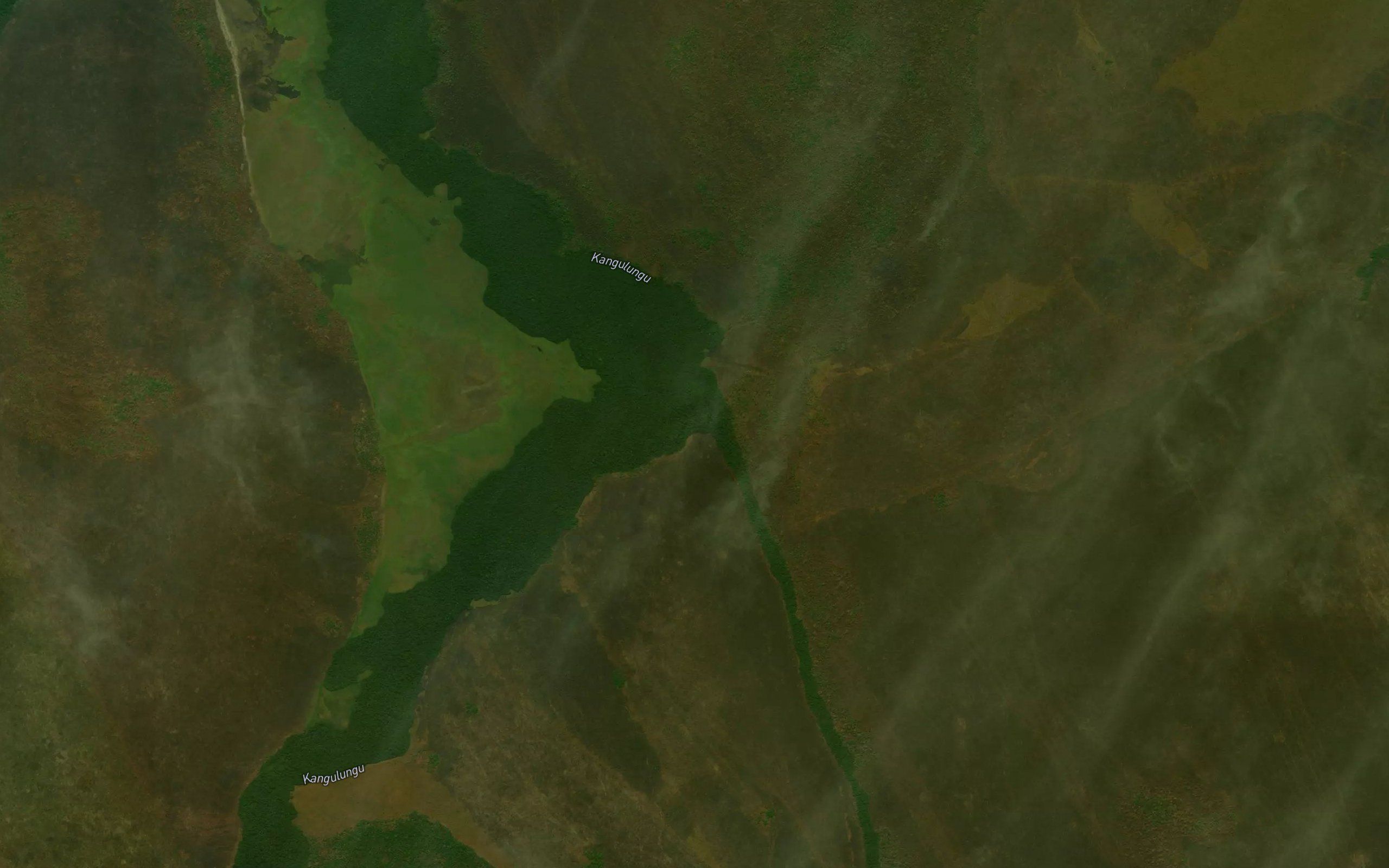 Nguimbo