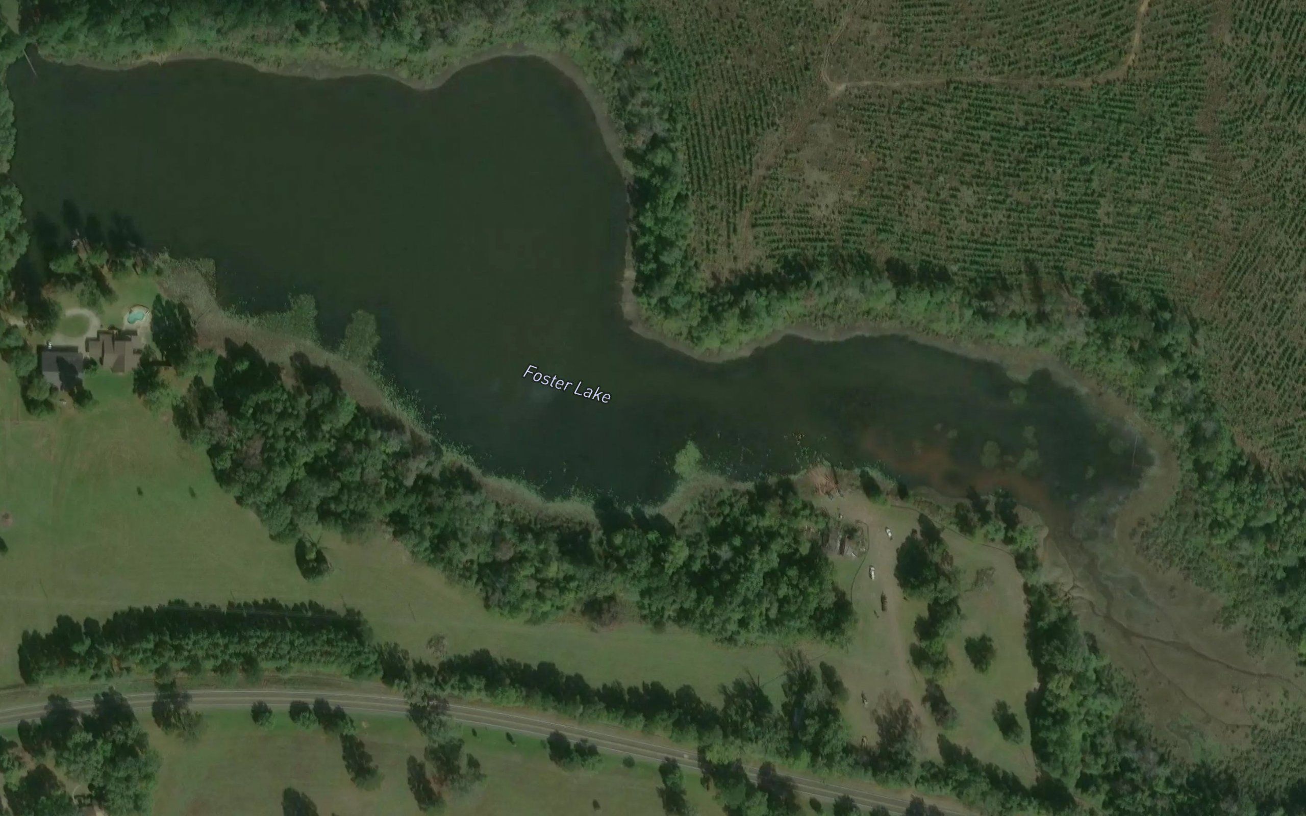 Foster Lake
