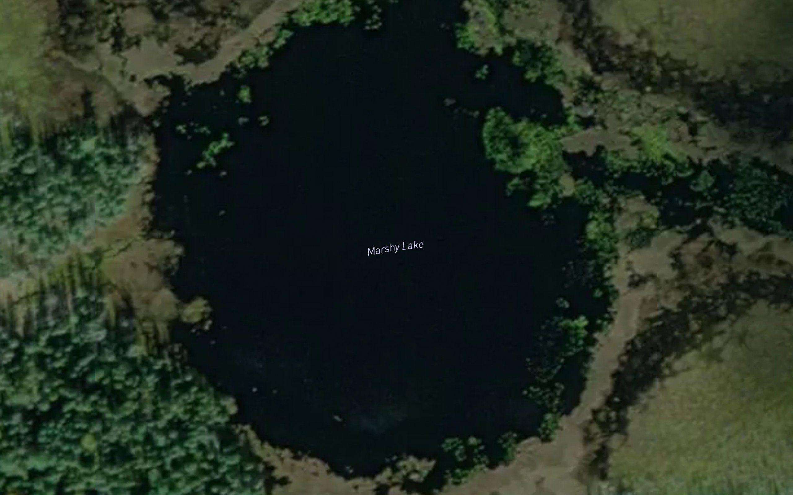 Marshy Lake