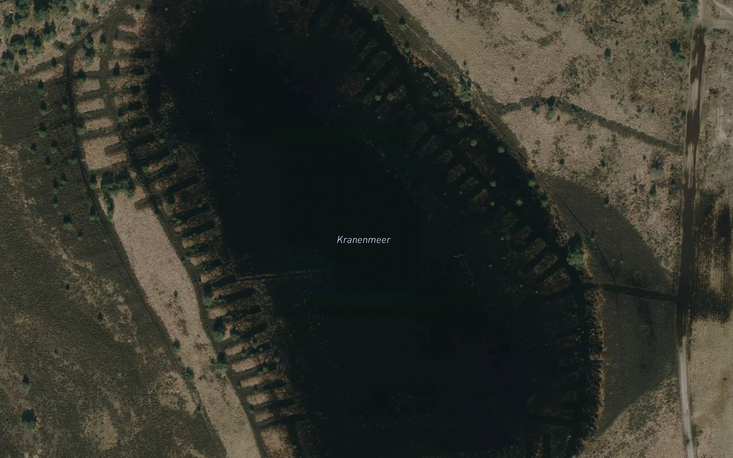 Kranenmeer