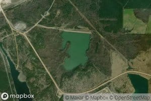 Briar Plant Lake One