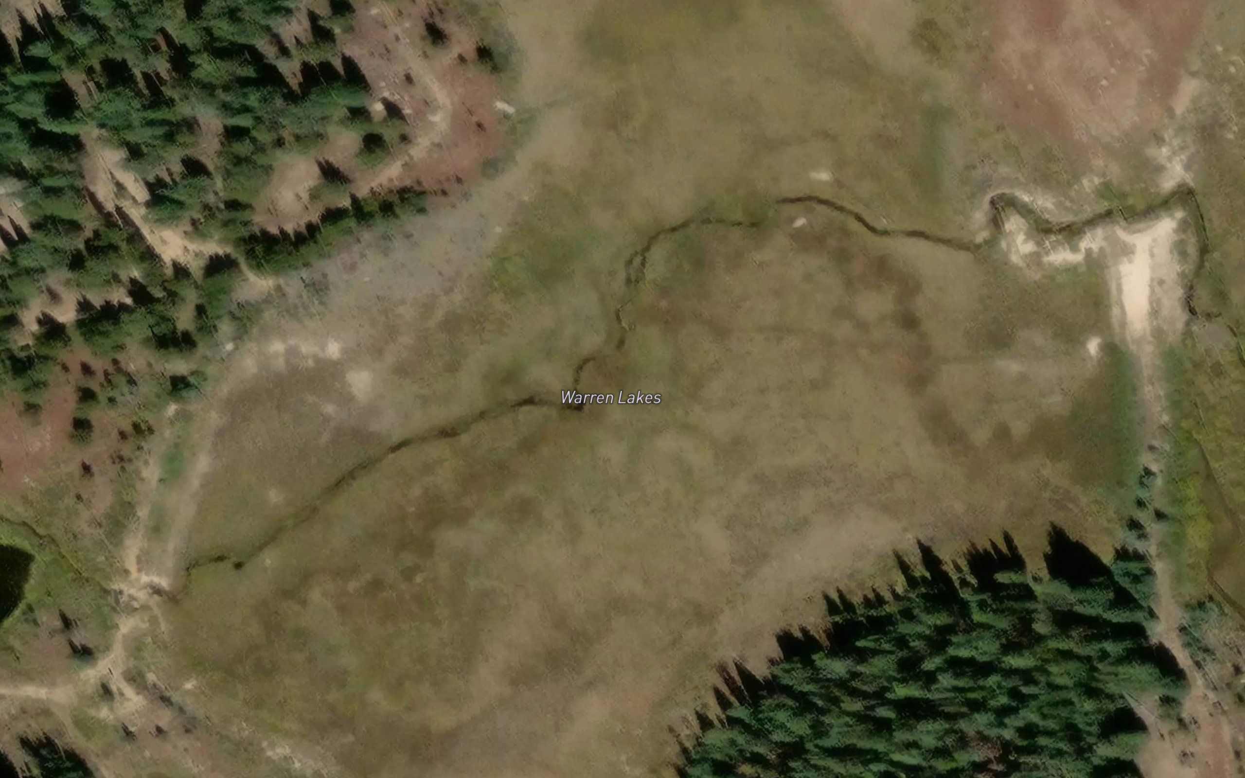 Warren Lakes