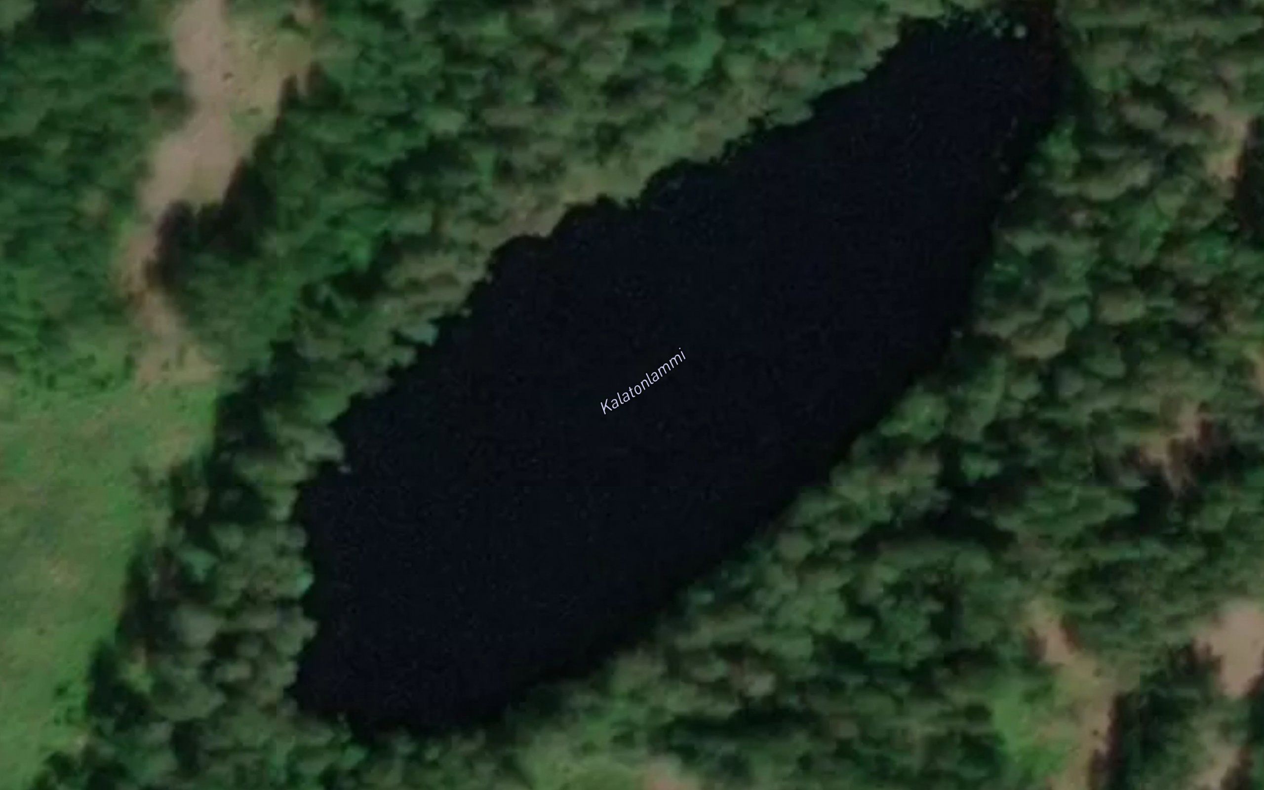 Kalatonlammi