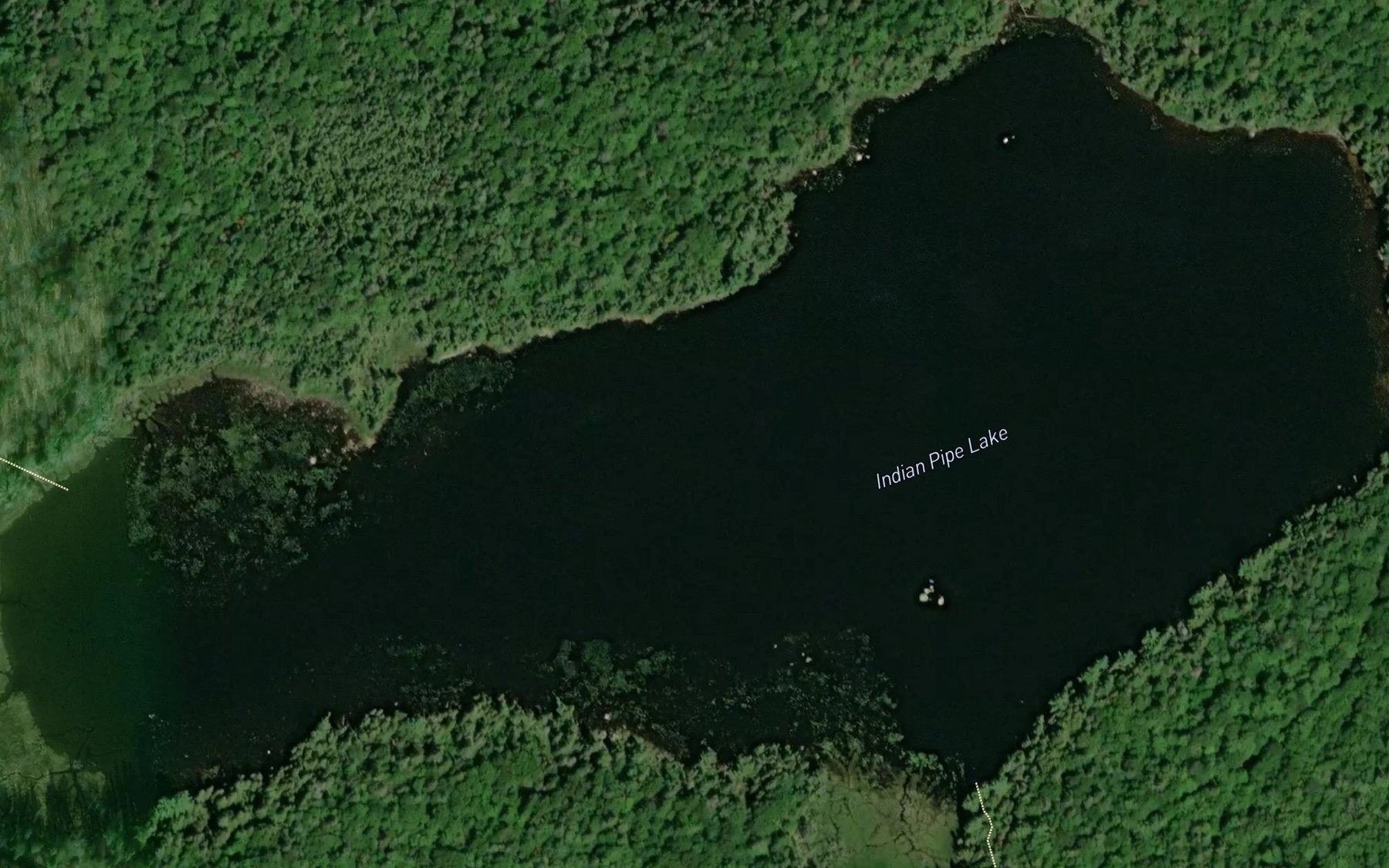 Satellite map of the Indian Pipe Lake